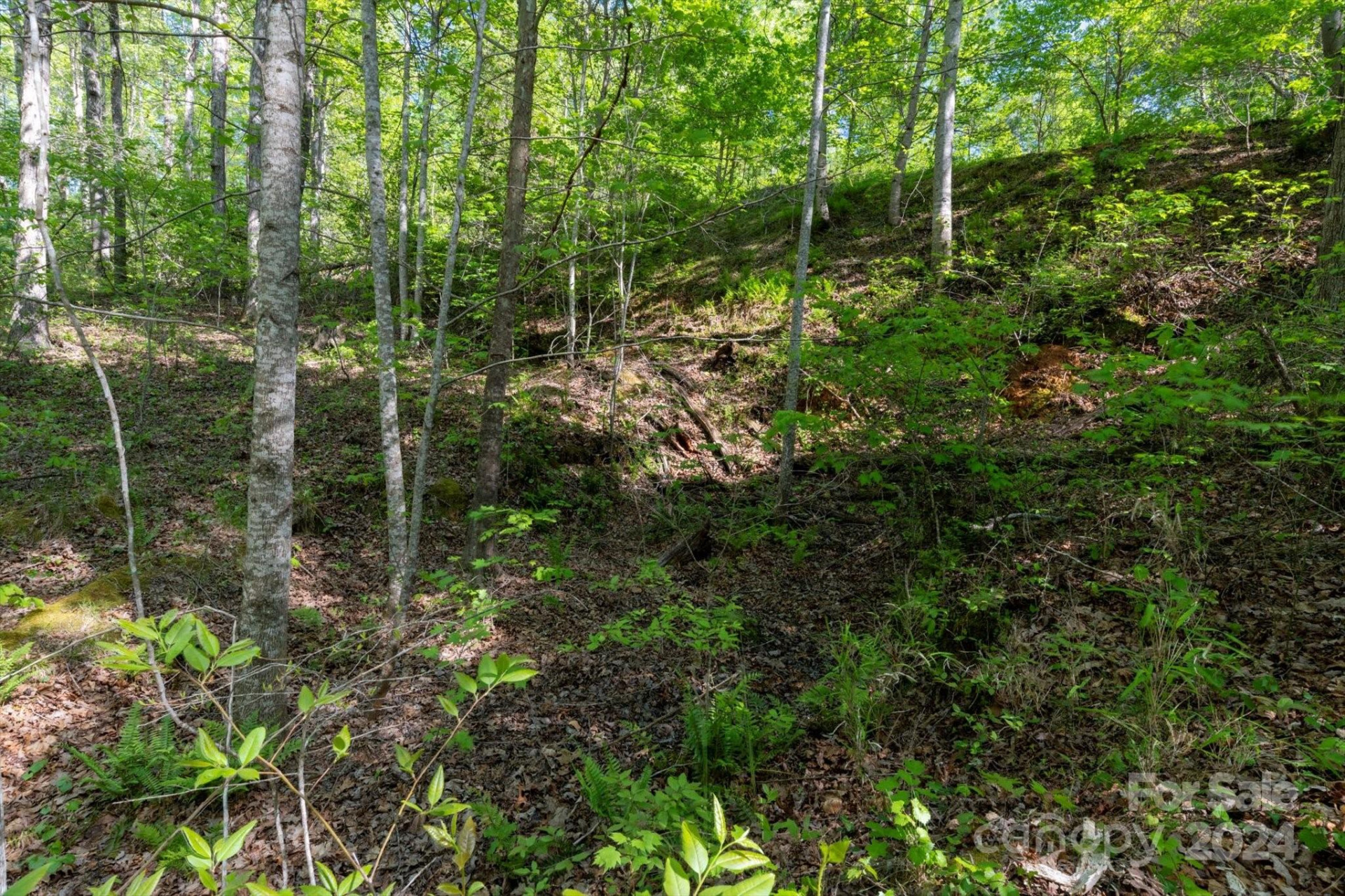 99999 Shady Bark Lane #41 - Photo 16