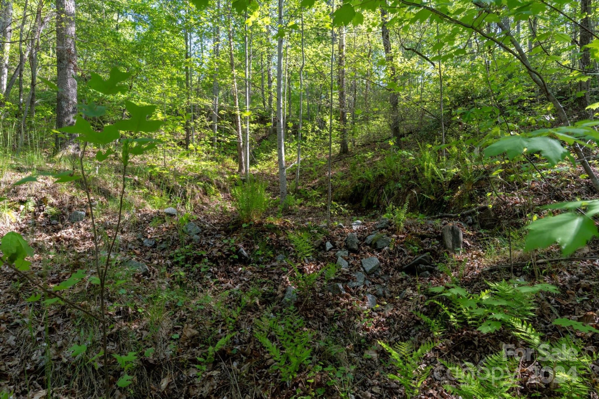 99999 Shady Bark Lane #41 - Photo 17