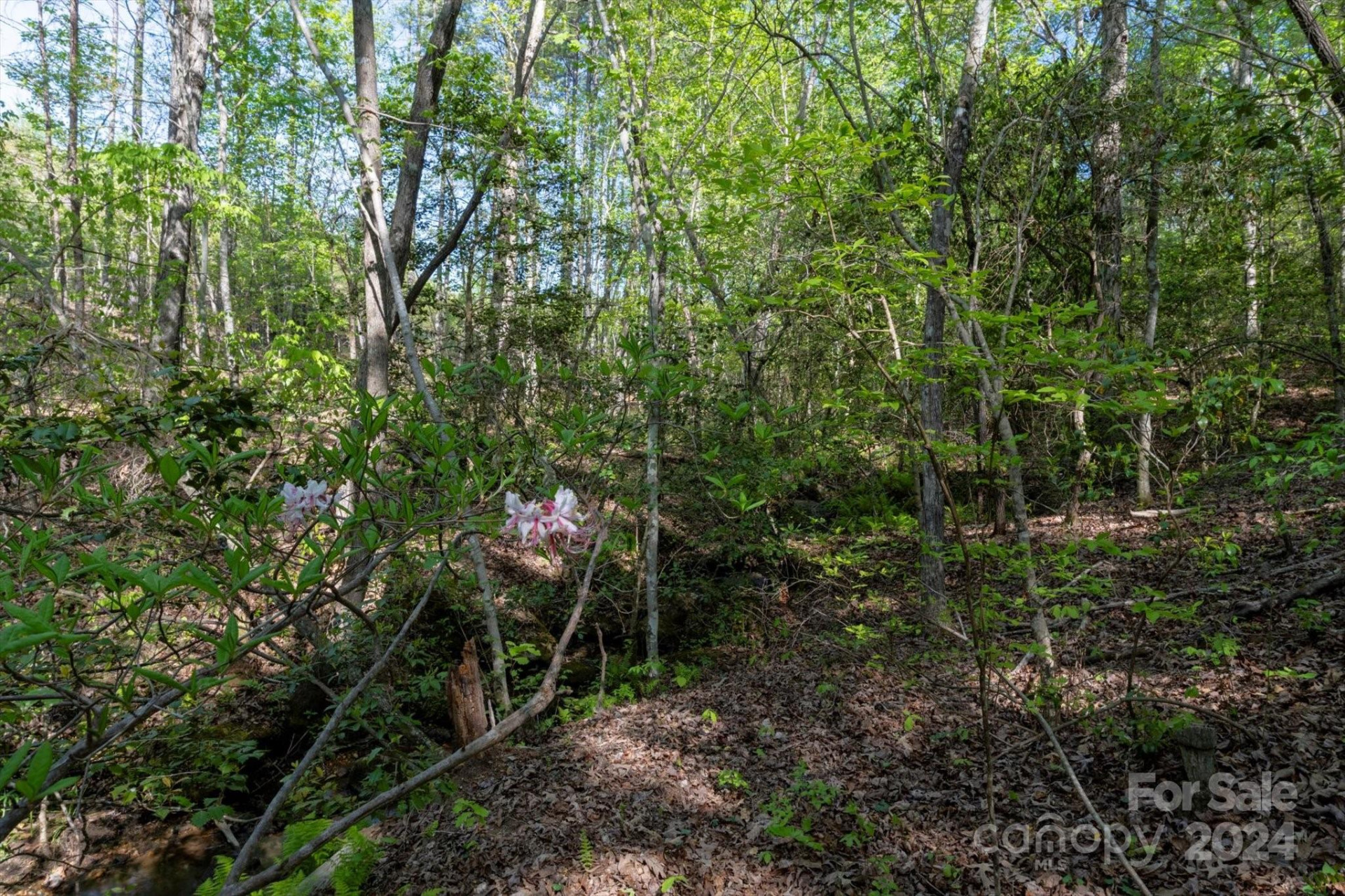 99999 Shady Bark Lane #41 - Photo 18