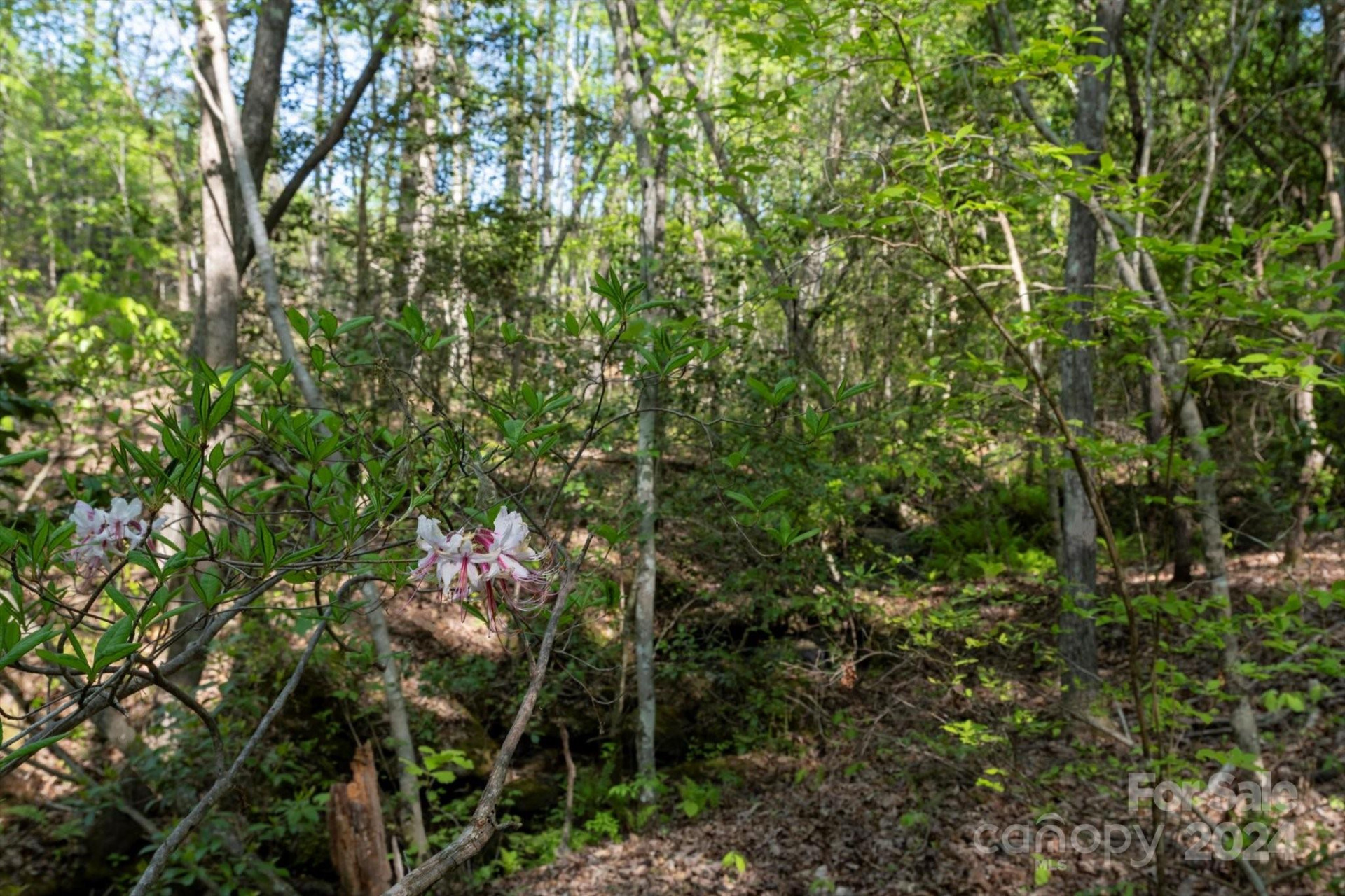 99999 Shady Bark Lane #41 - Photo 19