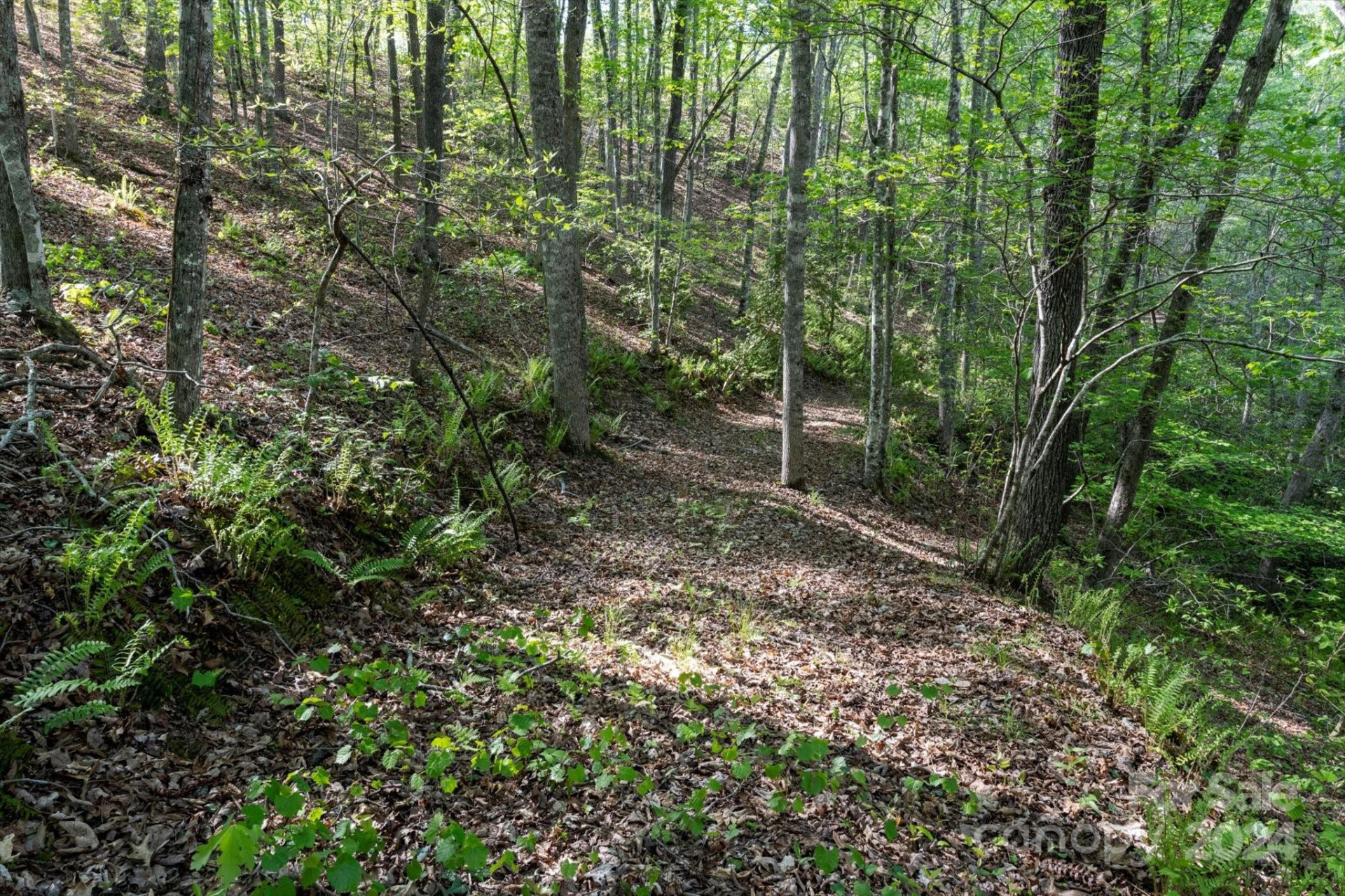 99999 Shady Bark Lane #41 - Photo 20