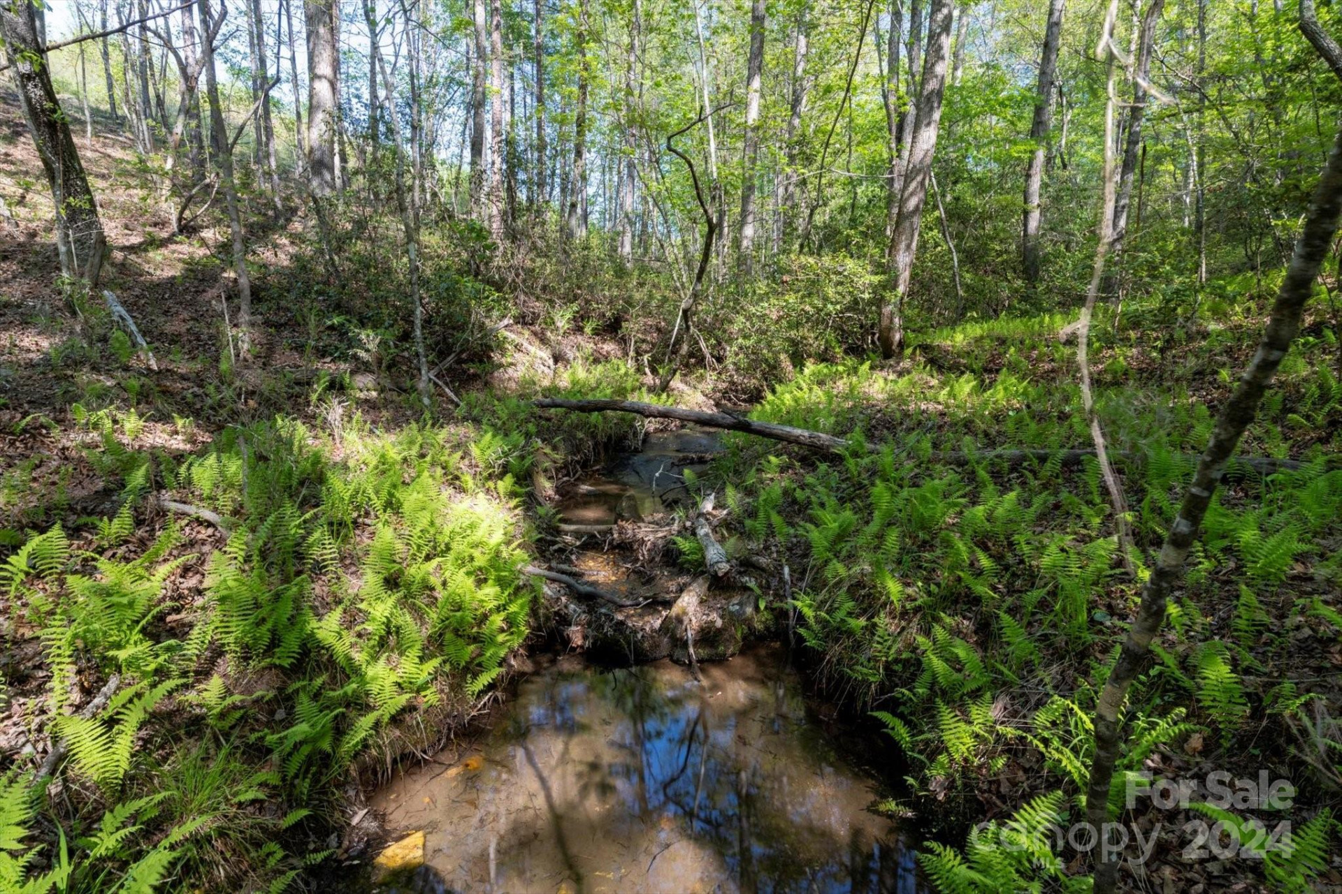 99999 Shady Bark Lane #41 - Photo 3