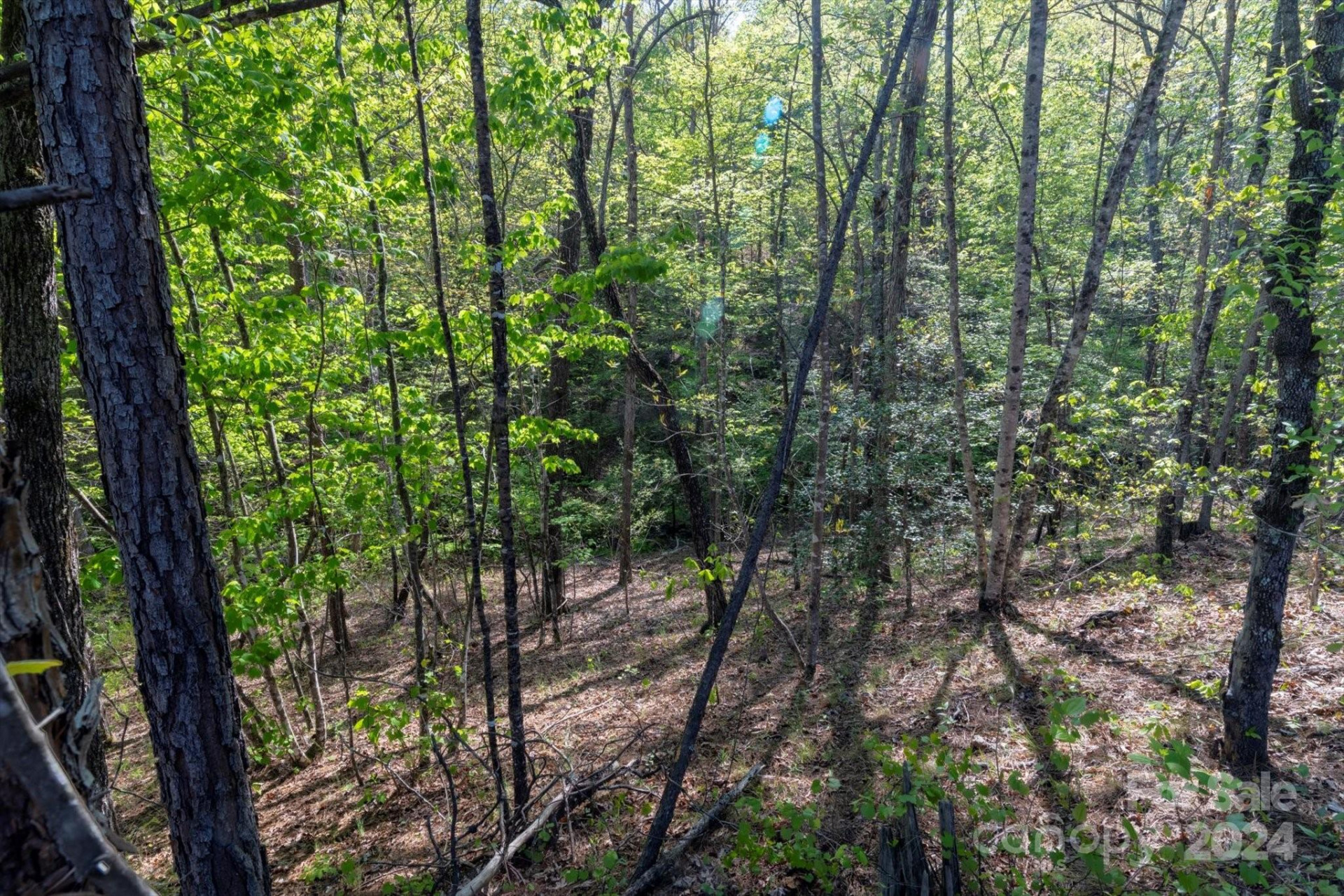 99999 Shady Bark Lane #41 - Photo 22