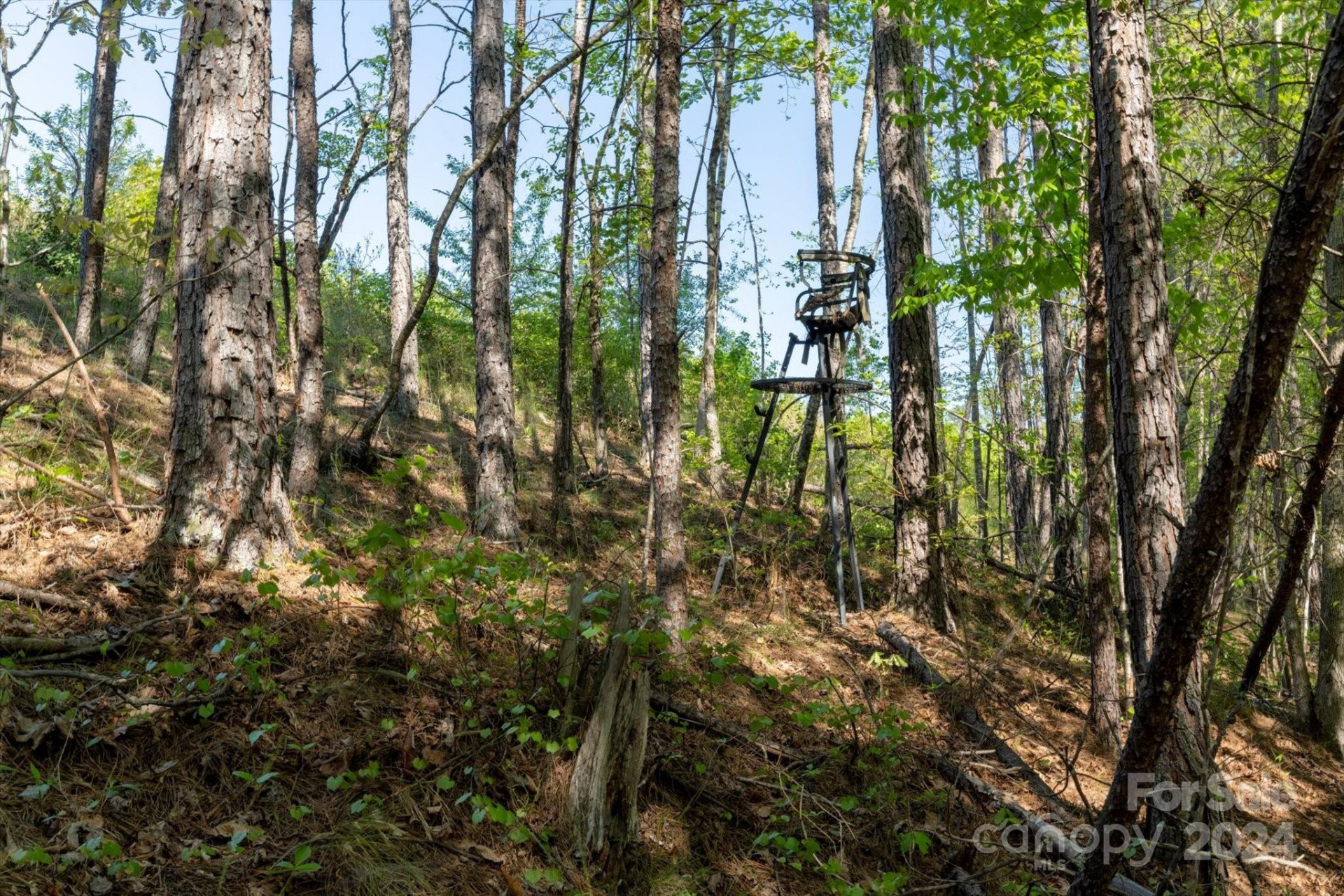 99999 Shady Bark Lane #41 - Photo 23