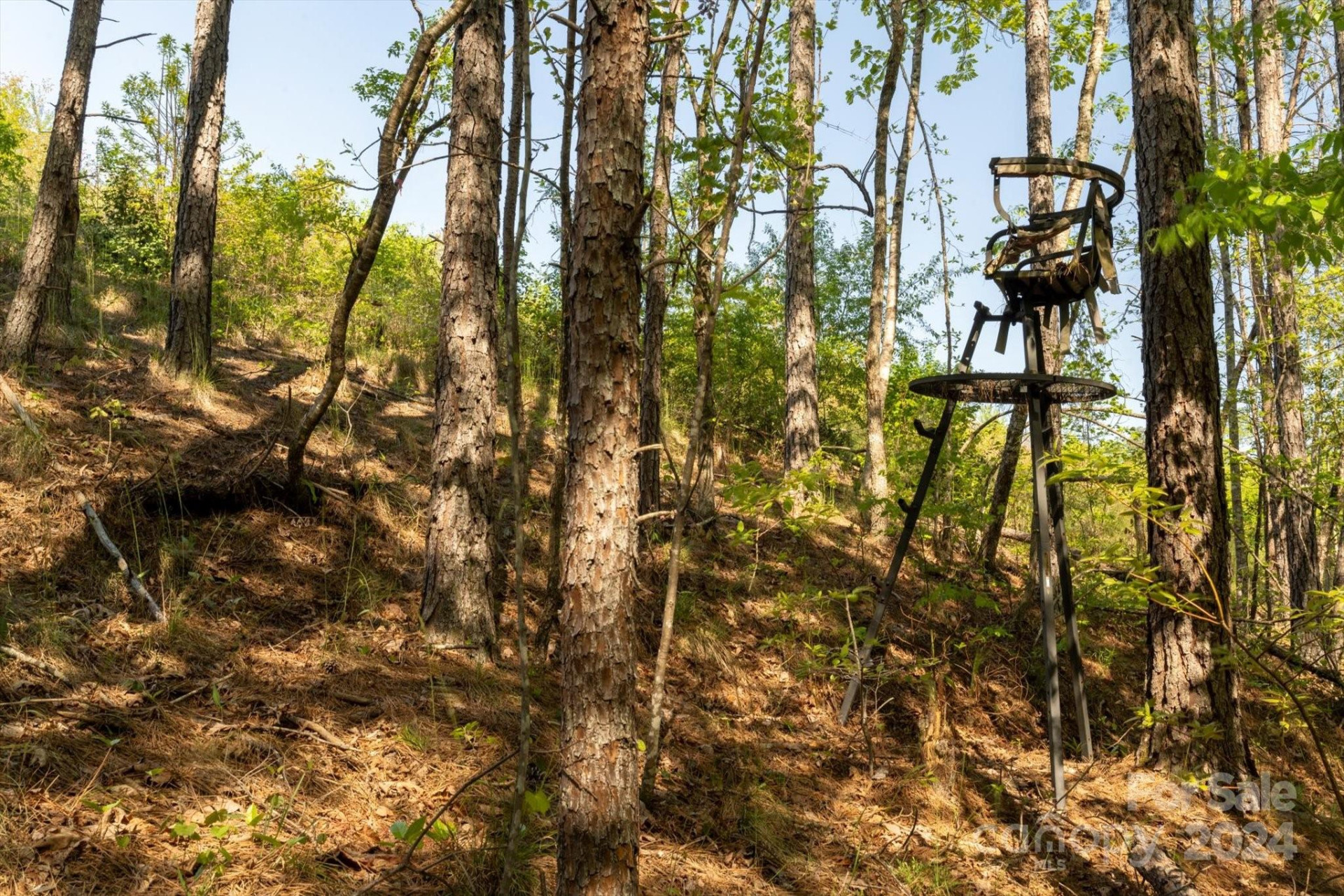 99999 Shady Bark Lane #41 - Photo 24