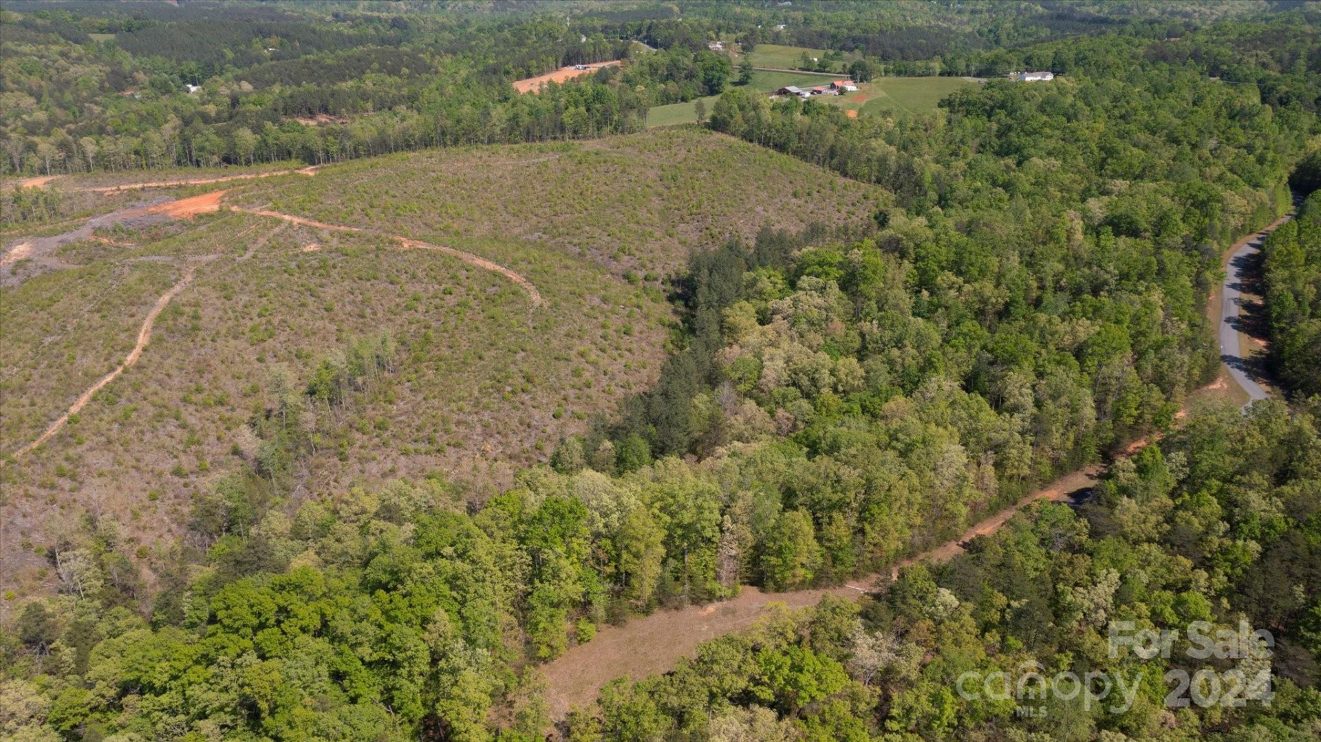 99999 Shady Bark Lane #41 - Photo 28