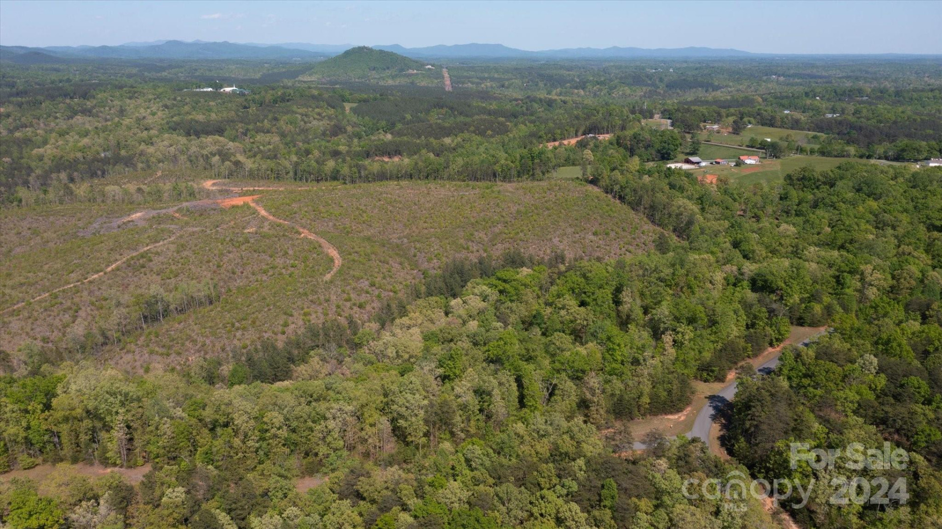 99999 Shady Bark Lane #41 - Photo 29