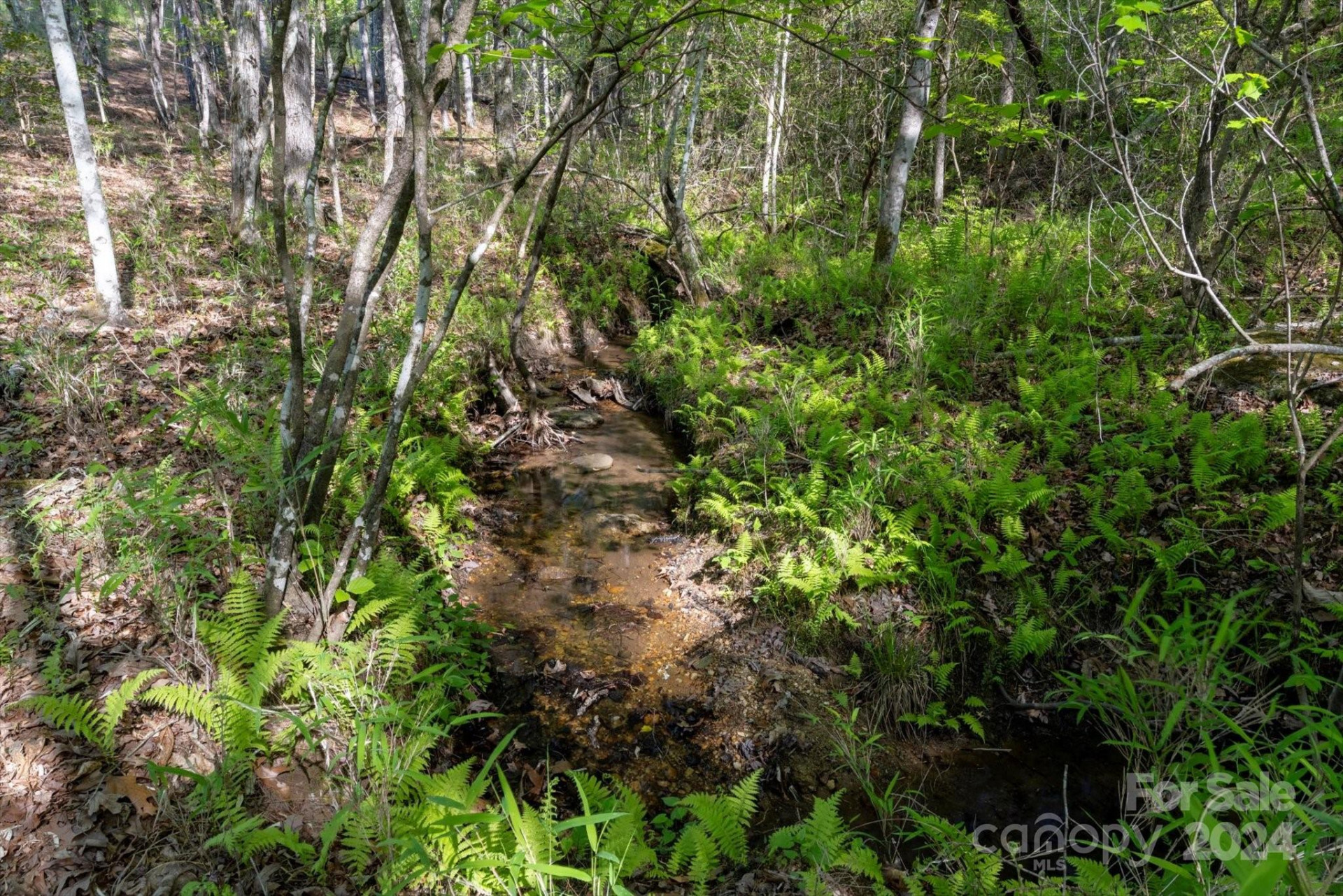 99999 Shady Bark Lane #41 - Photo 4