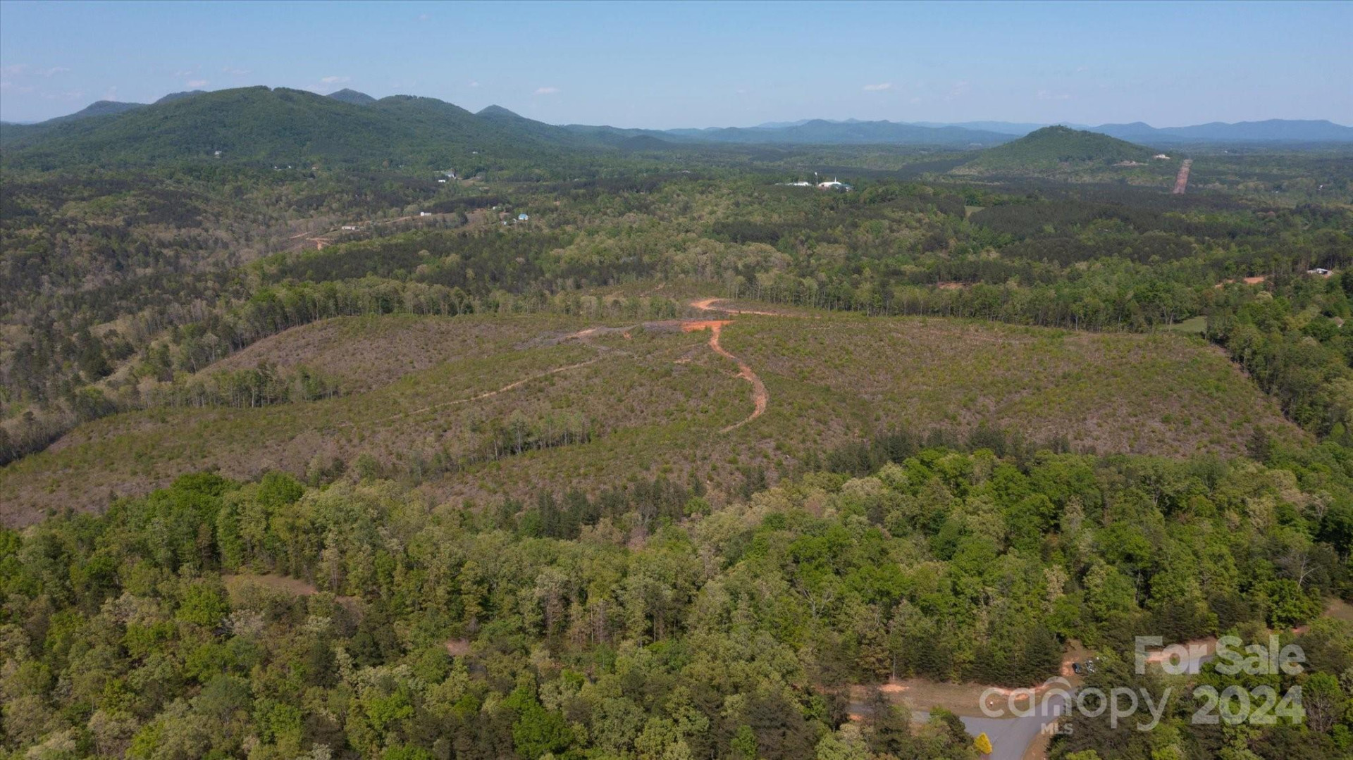 99999 Shady Bark Lane #41 - Photo 31