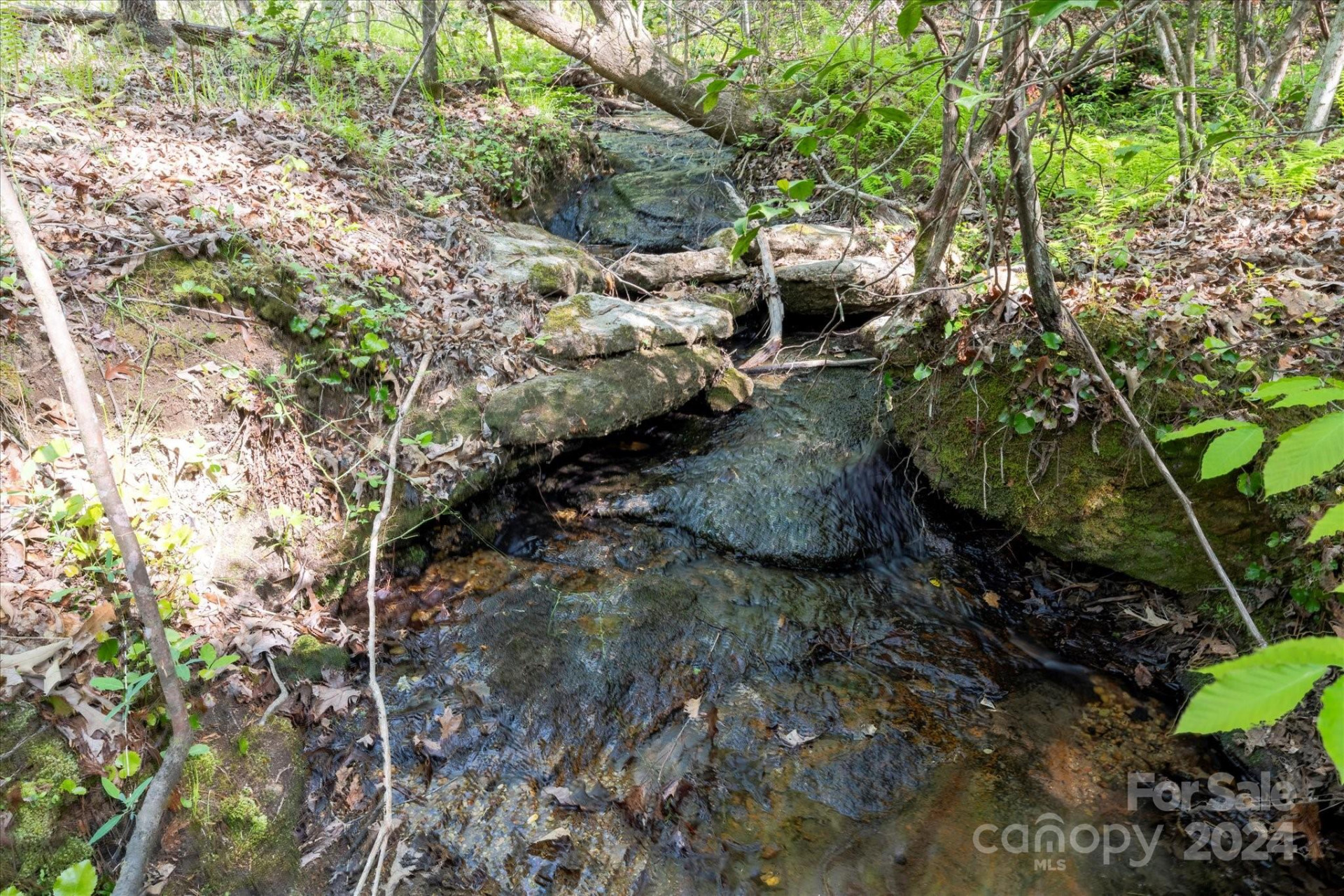 99999 Shady Bark Lane #41 - Photo 5