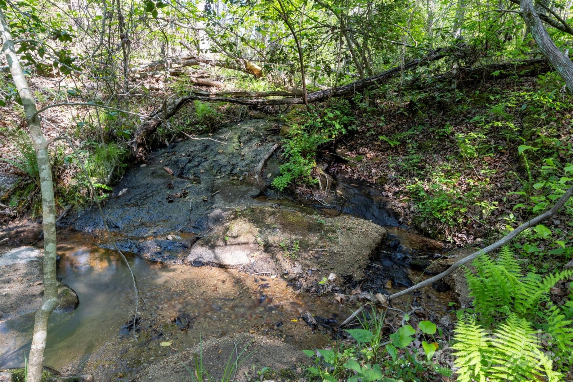 99999 Shady Bark Lane #41 - Photo 6