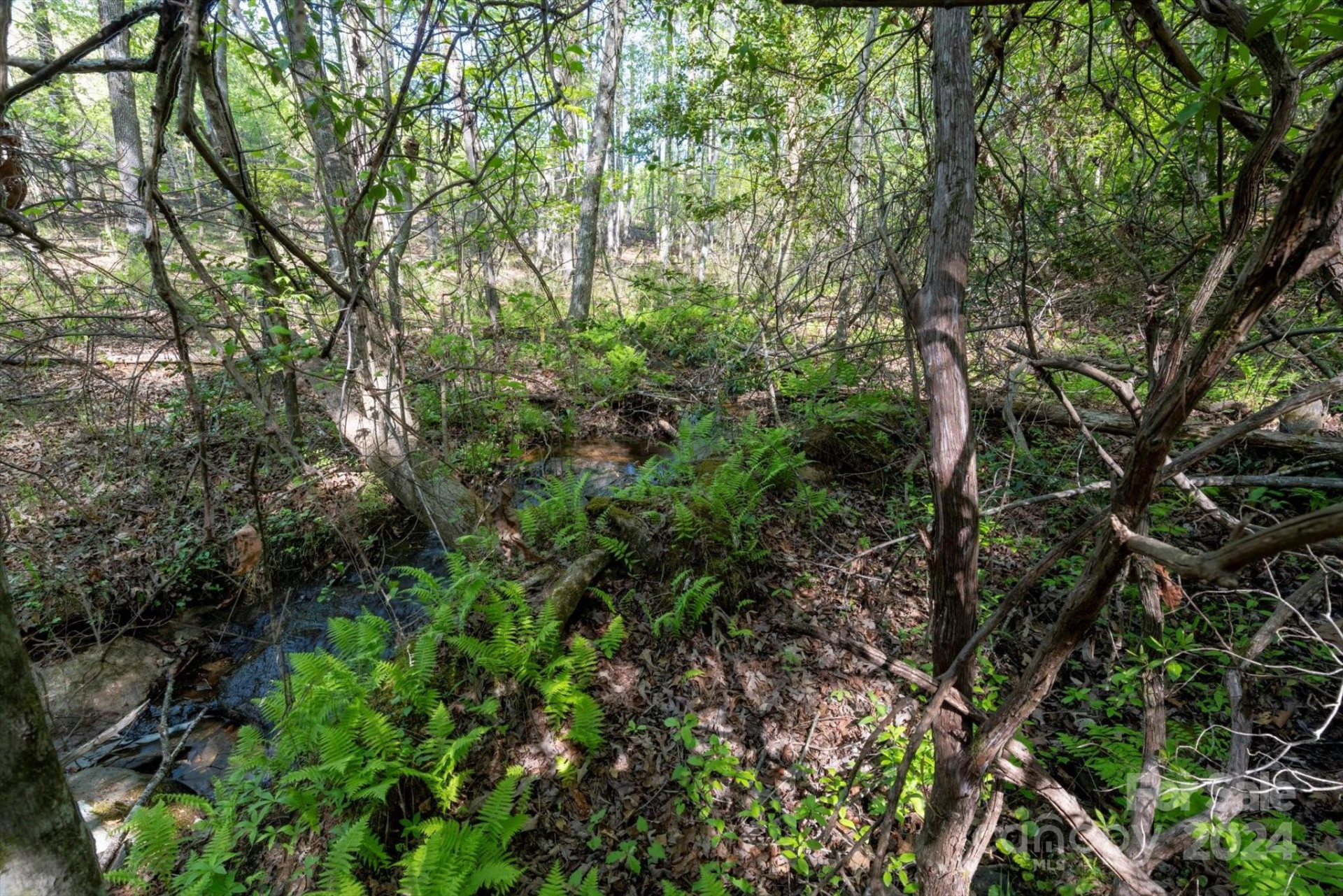 99999 Shady Bark Lane #41 - Photo 7