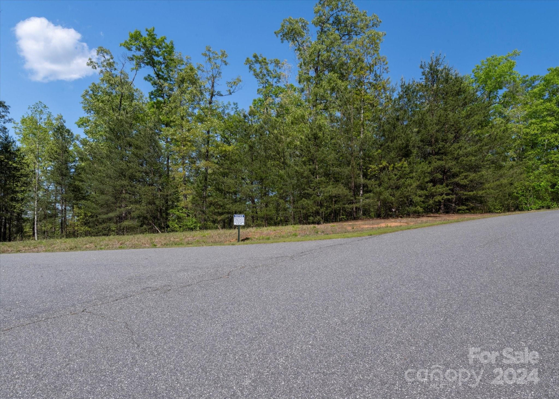 99999 Shady Bark Lane #41 - Photo 8