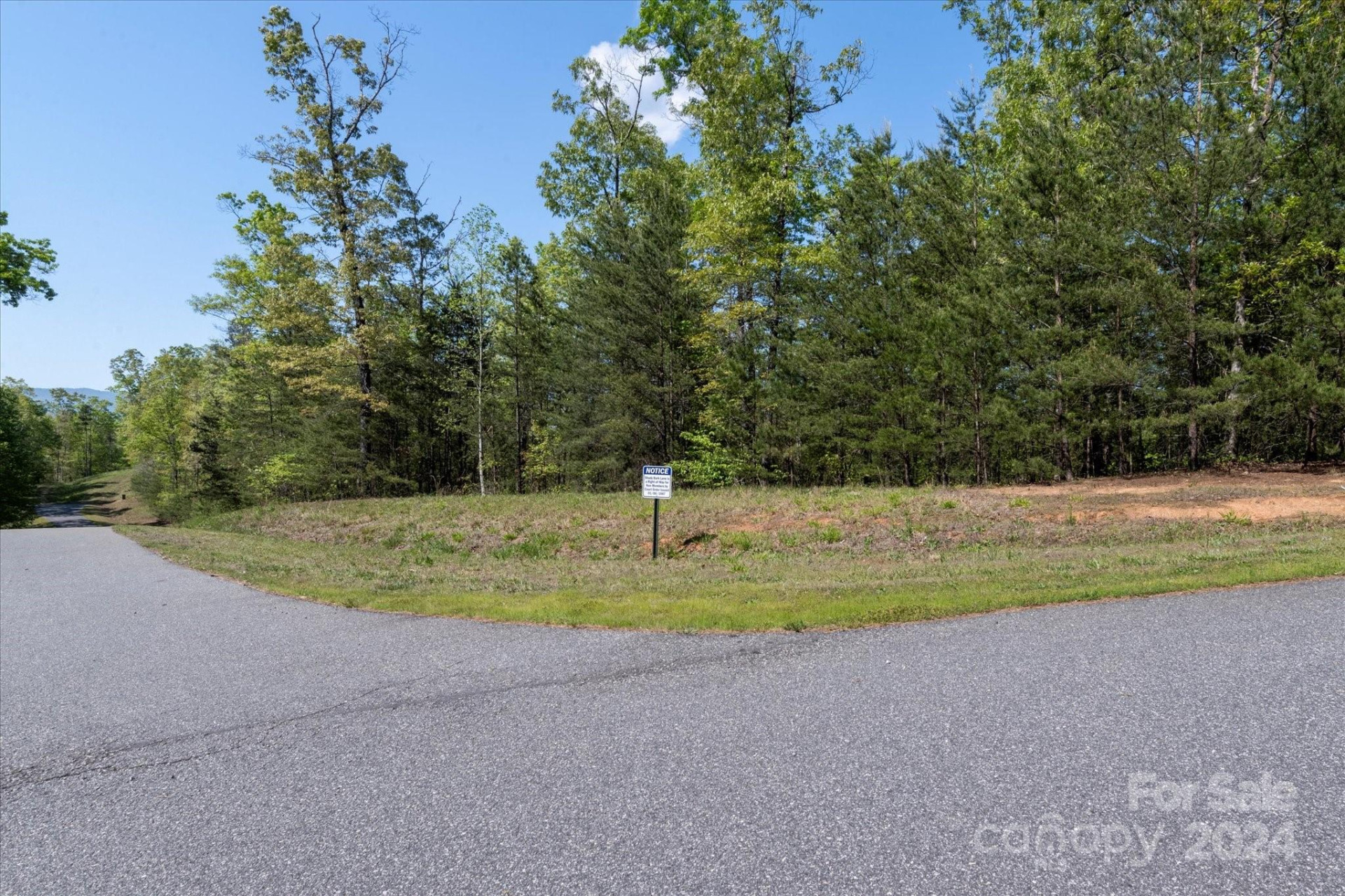 99999 Shady Bark Lane #41 - Photo 9