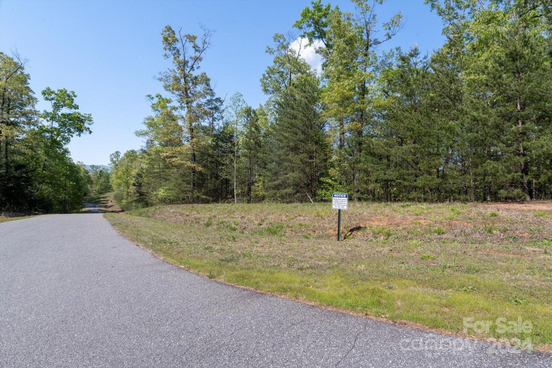 99999 Shady Bark Lane #41 - Photo 10