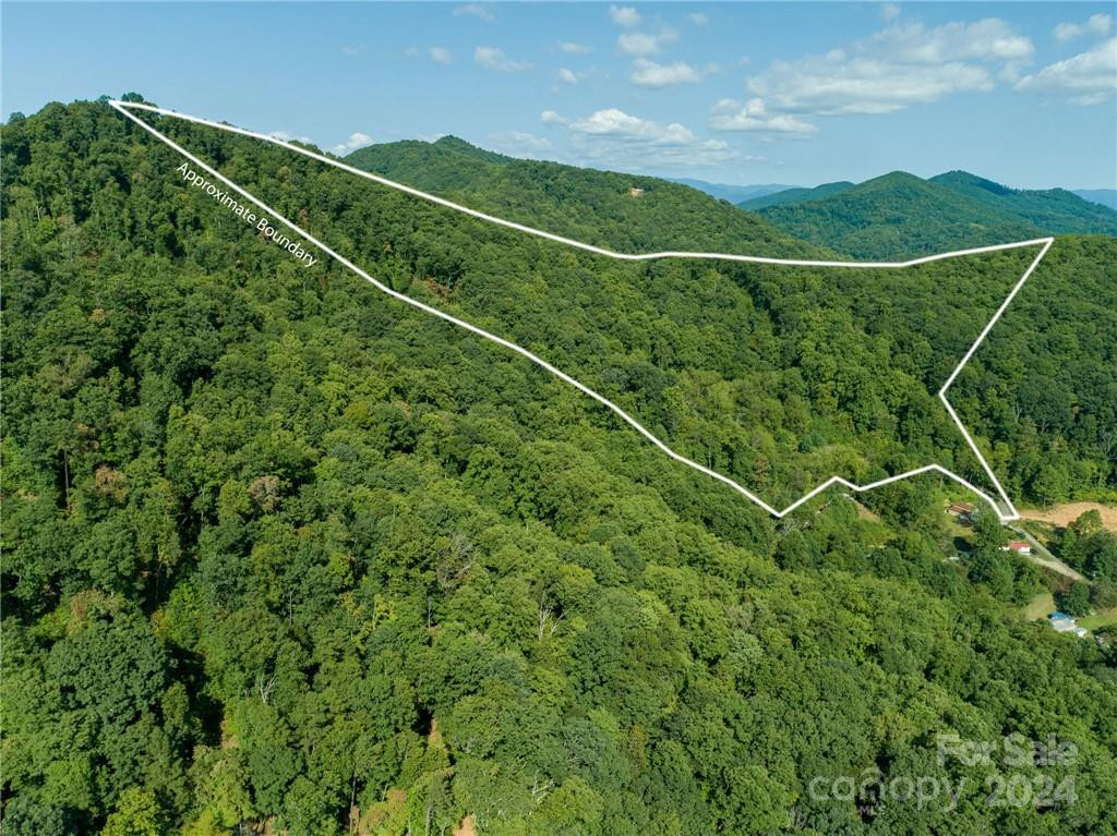 58 Grooms Road - Photo 2