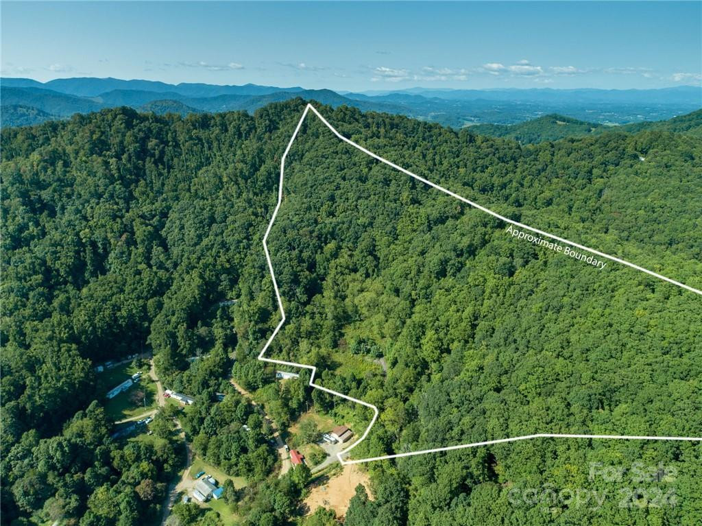 58 Grooms Road - Photo 3