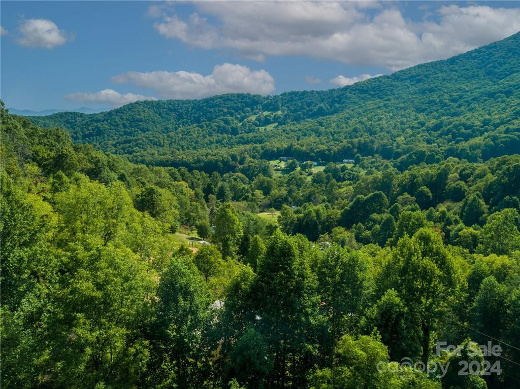 58 Grooms Road - Photo 4