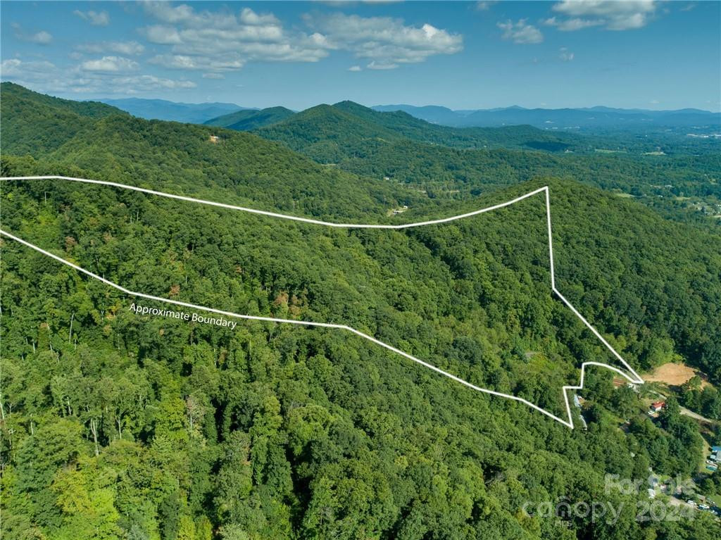 58 Grooms Road - Photo 6