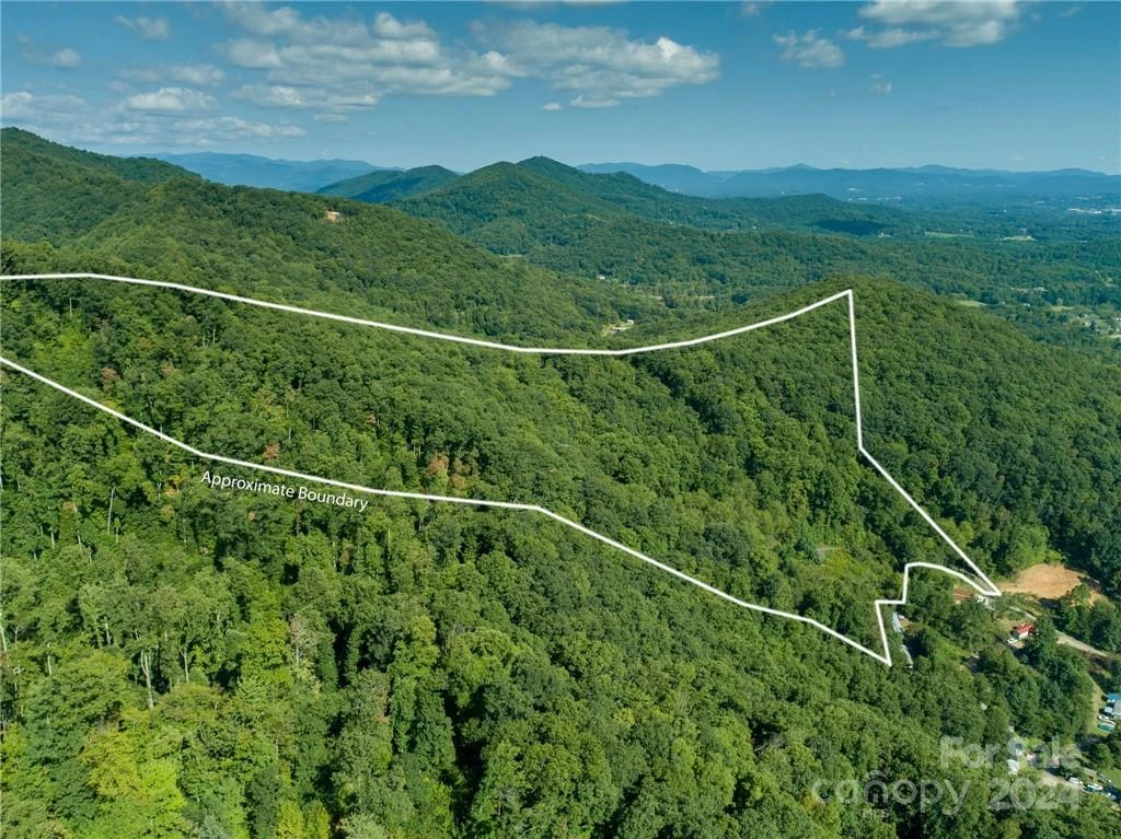 58 Grooms Road - Photo 6