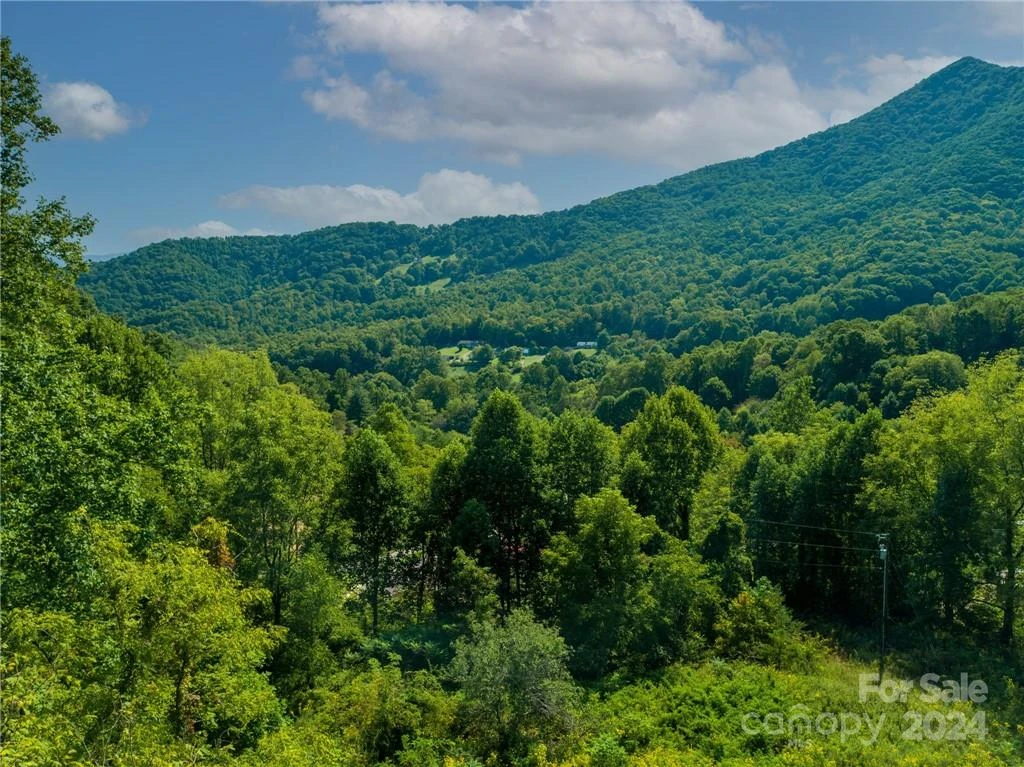 58 Grooms Road - Photo 8