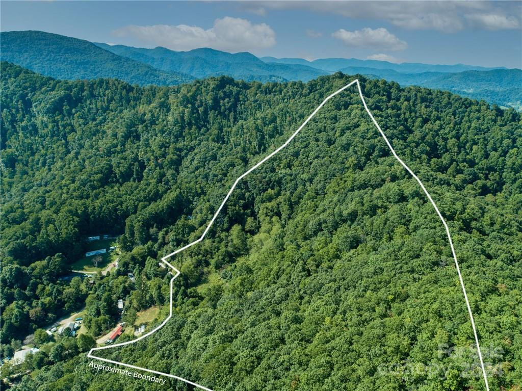 58 Grooms Road - Photo 10