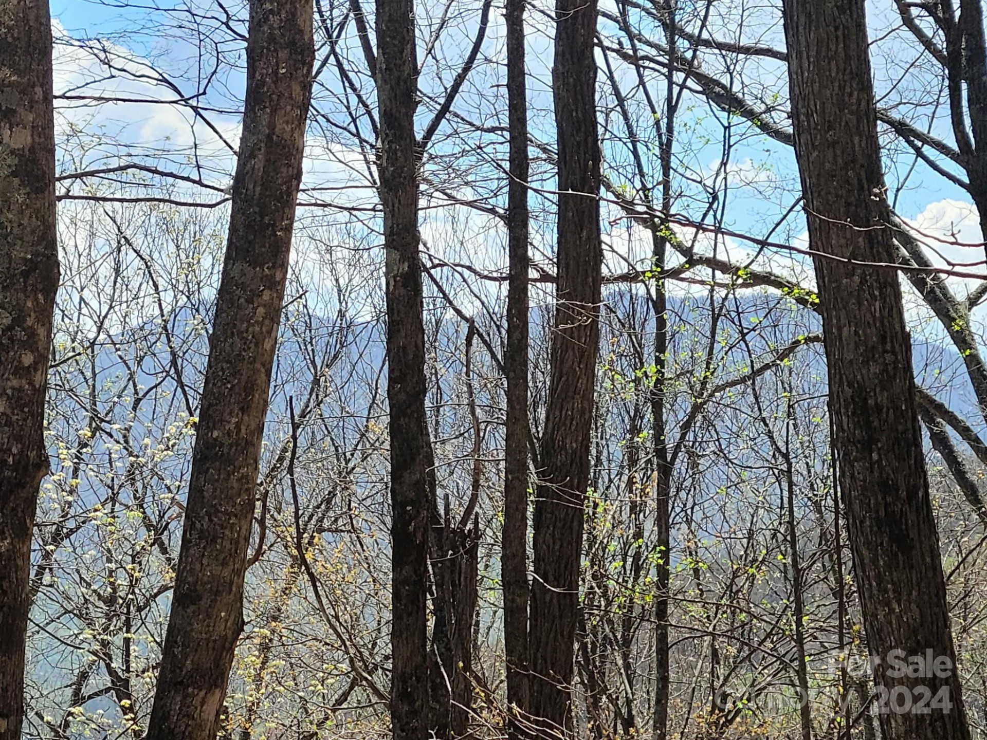 000 Skyline Drive - Photo 2