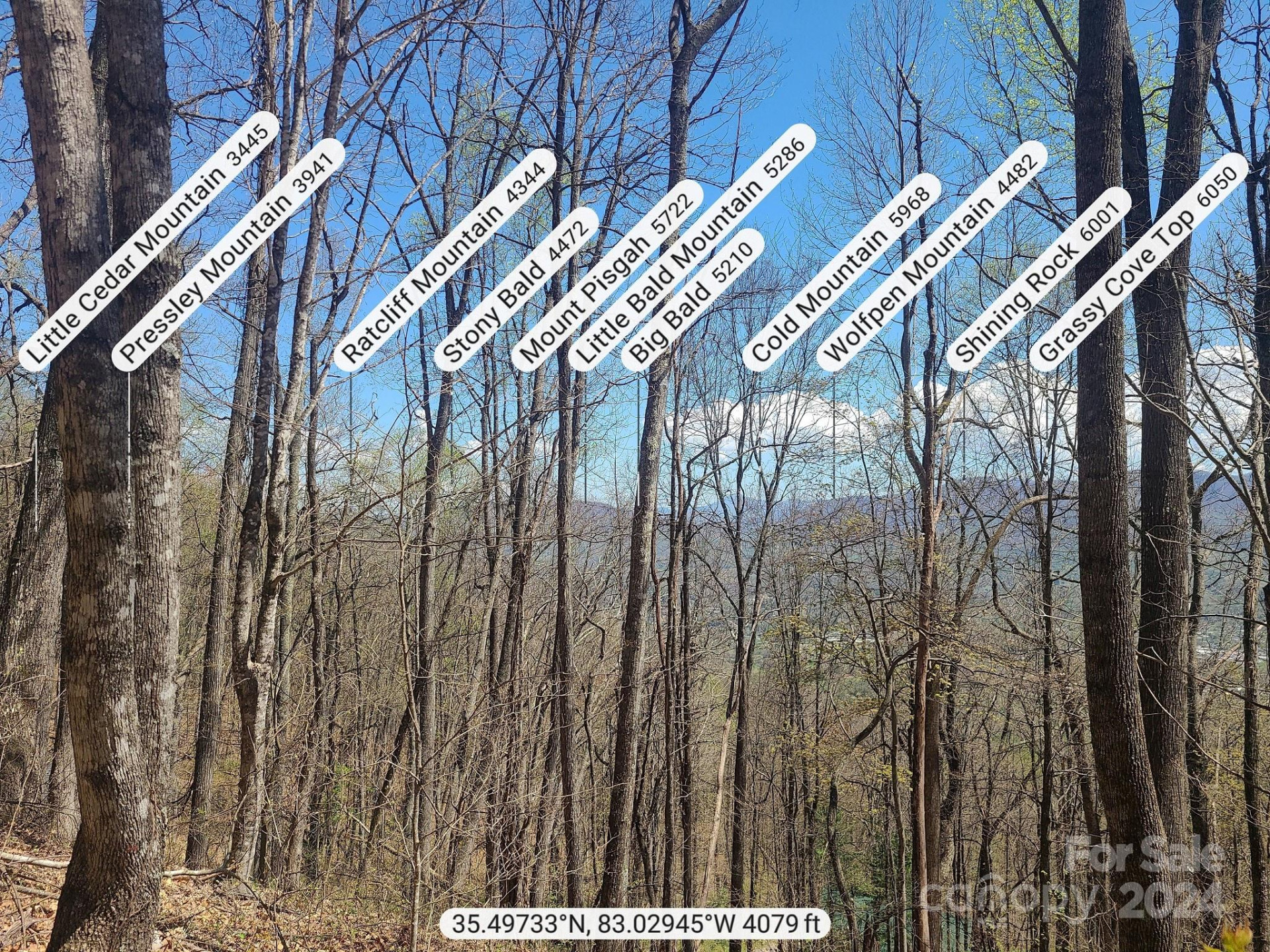 000 Skyline Drive - Photo 3