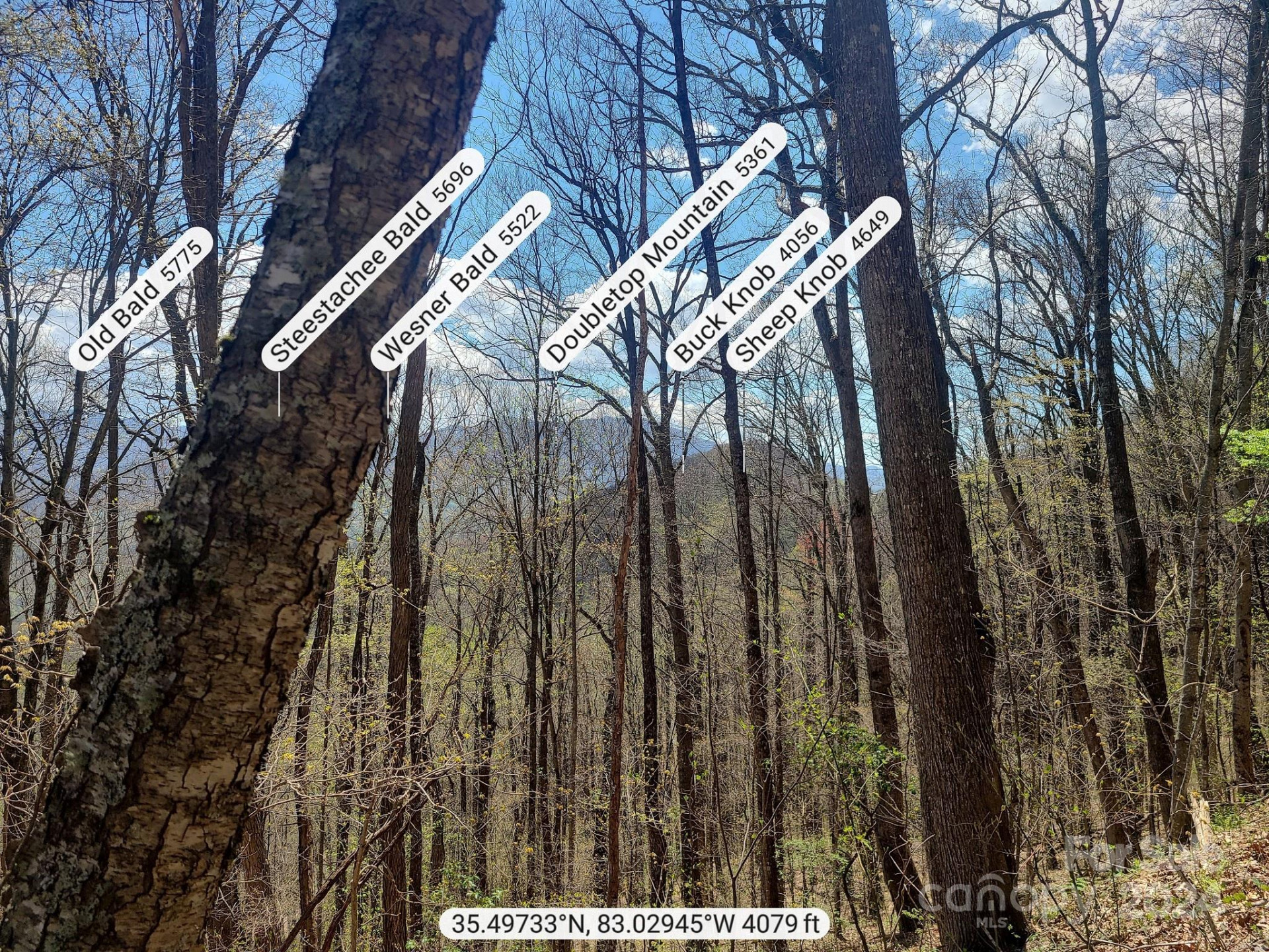 000 Skyline Drive - Photo 5