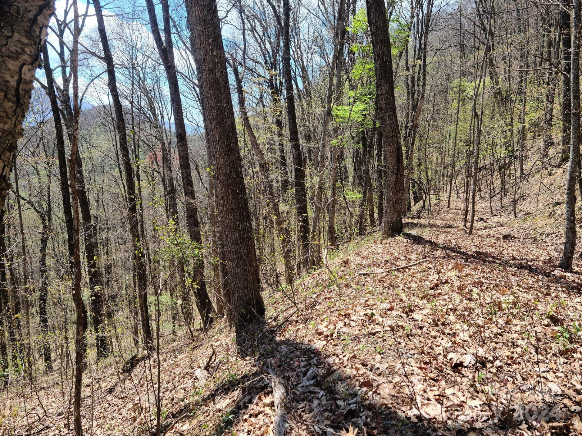 000 Skyline Drive - Photo 7