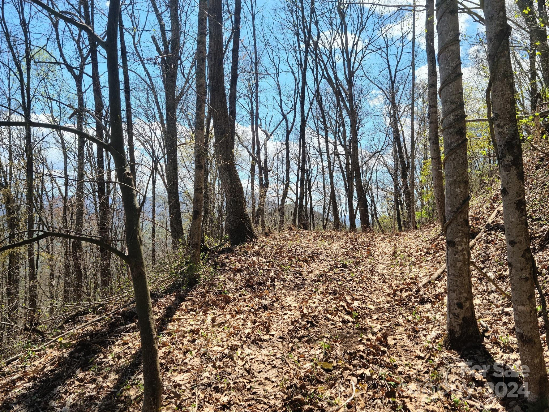 000 Skyline Drive - Photo 9