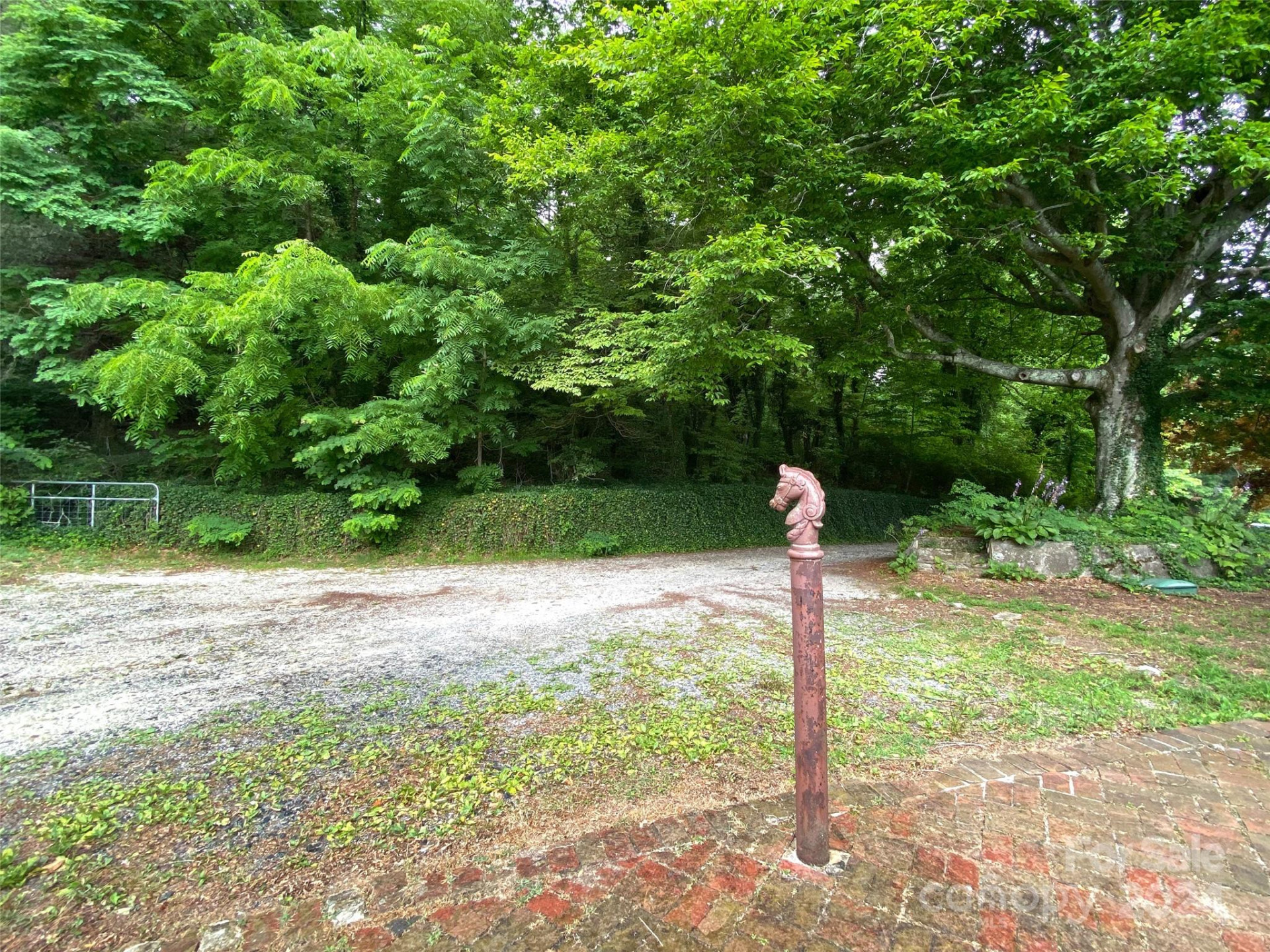 273 & 133 Nicholson Lane - Photo 12