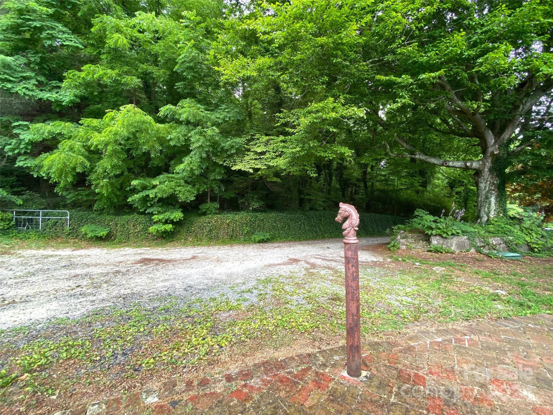 273 & 133 Nicholson Lane - Photo 12