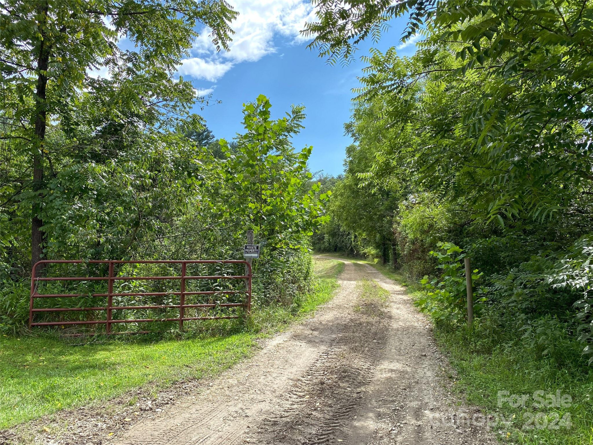 273 & 133 Nicholson Lane - Photo 4