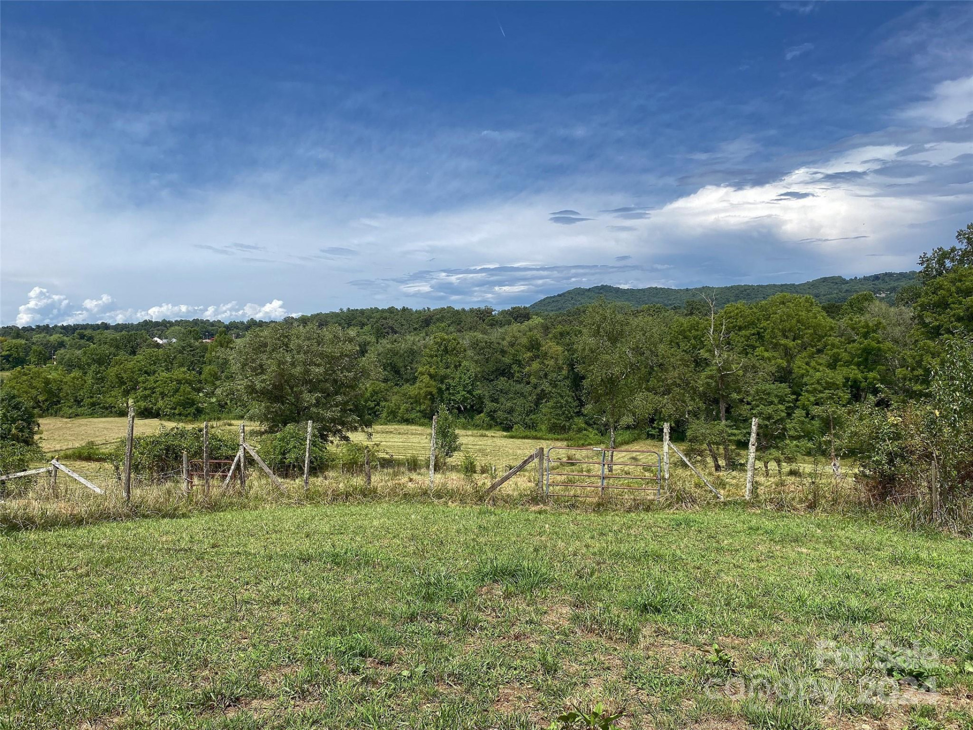 273 & 133 Nicholson Lane - Photo 36