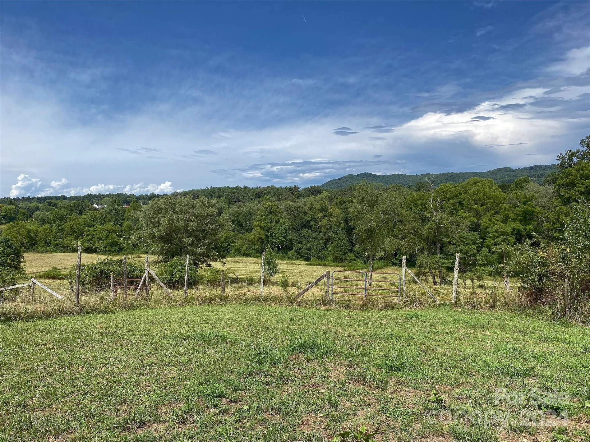 273 & 133 Nicholson Lane - Photo 36