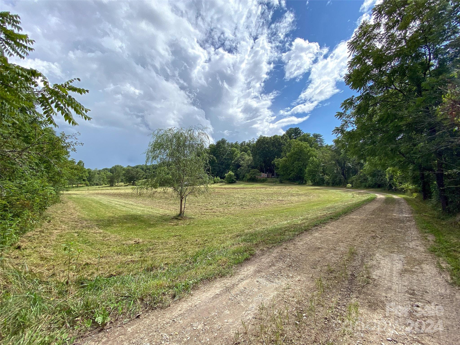 273 & 133 Nicholson Lane - Photo 5