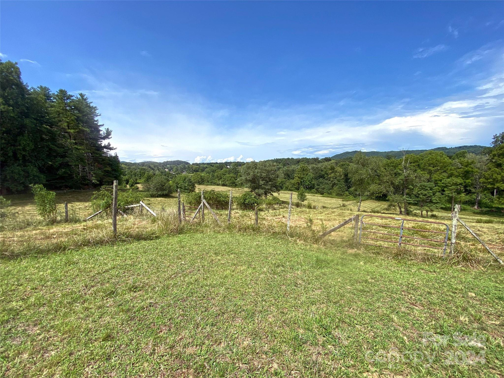 273 & 133 Nicholson Lane - Photo 45