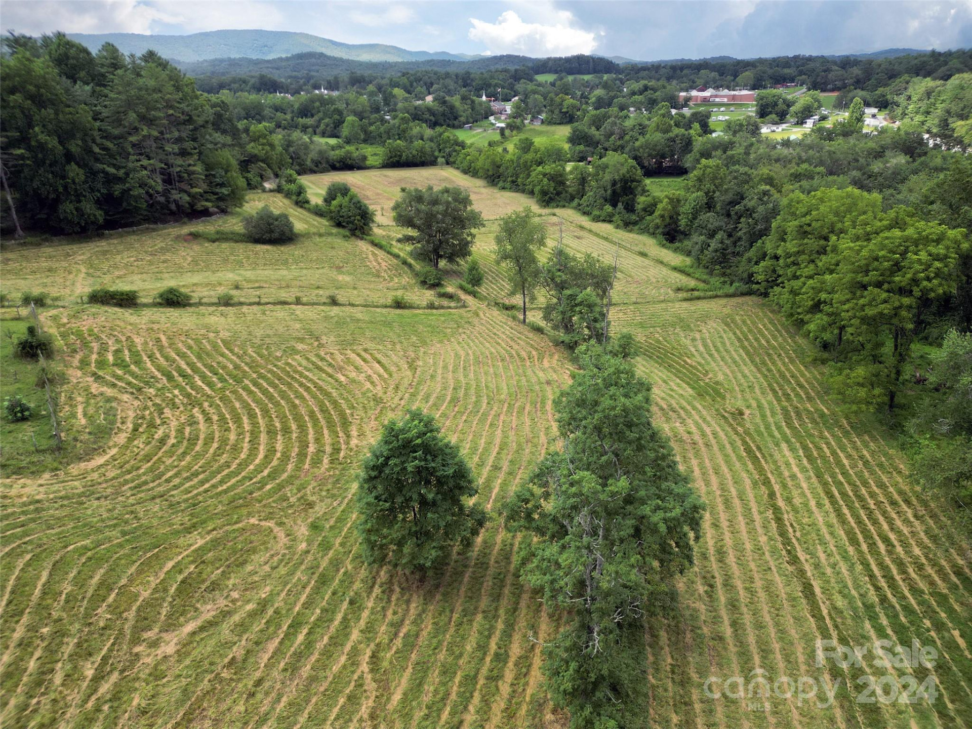 273 & 133 Nicholson Lane - Photo 46