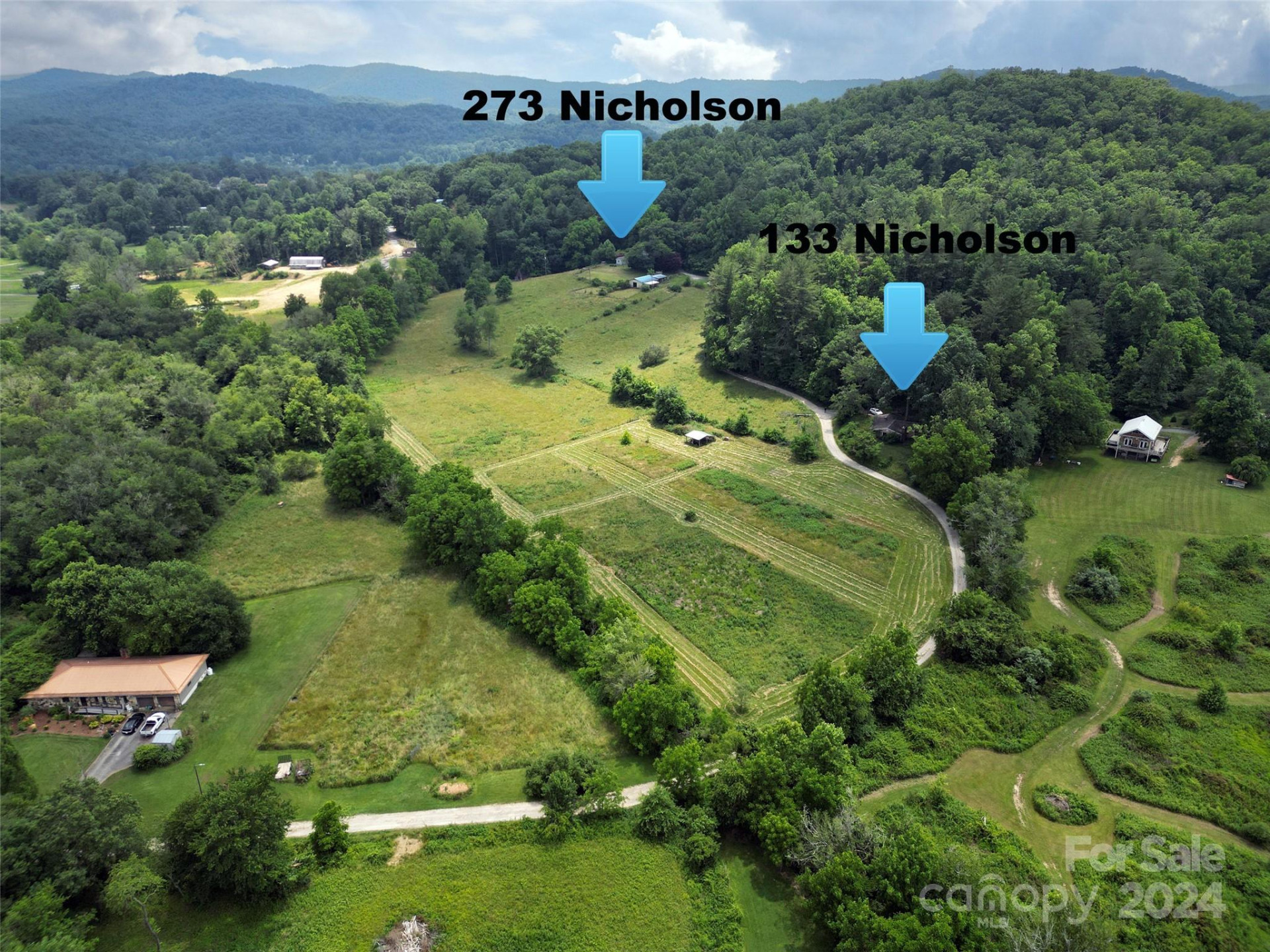 273 & 133 Nicholson Lane - Photo 48