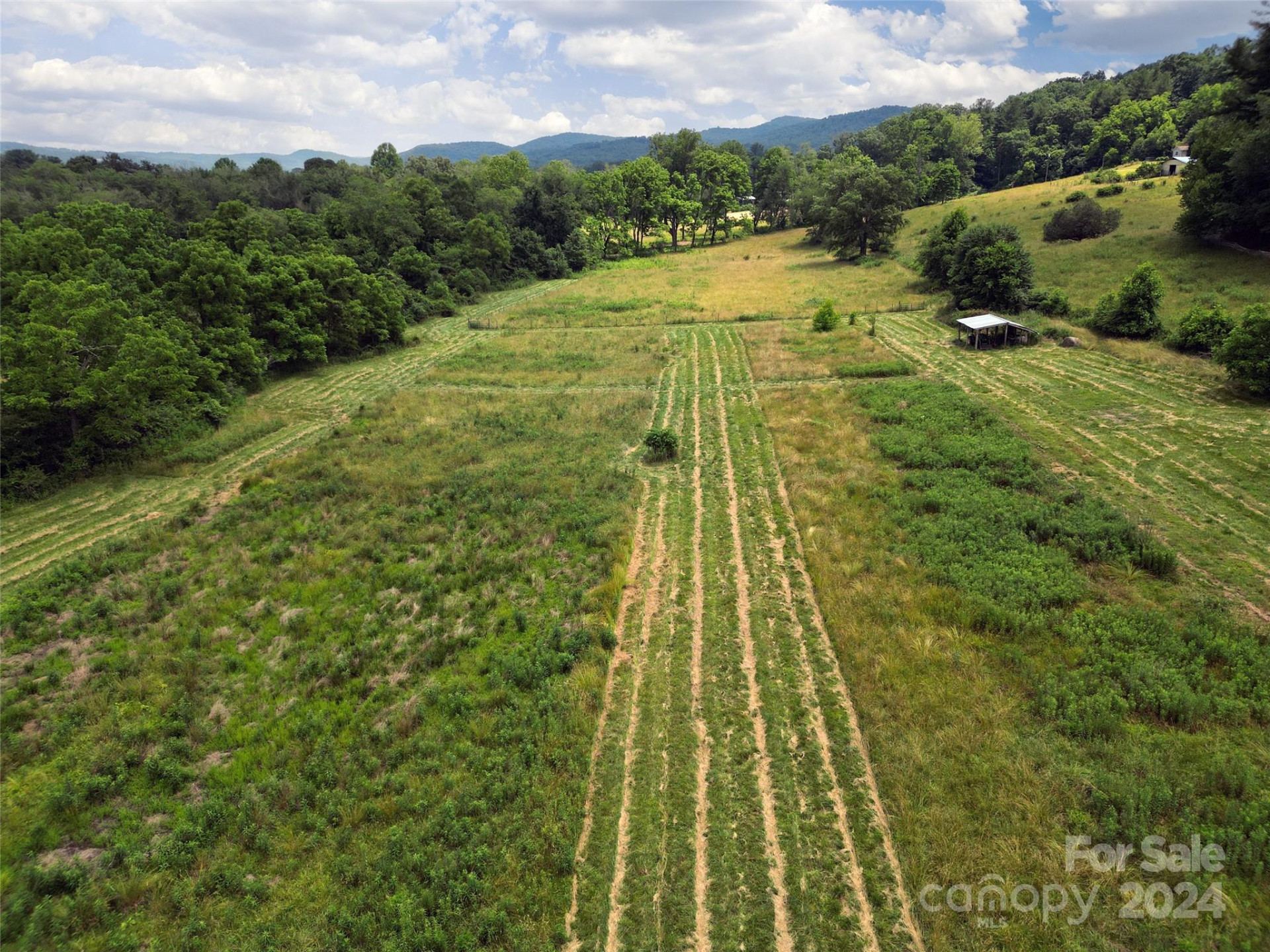 273 & 133 Nicholson Lane - Photo 6