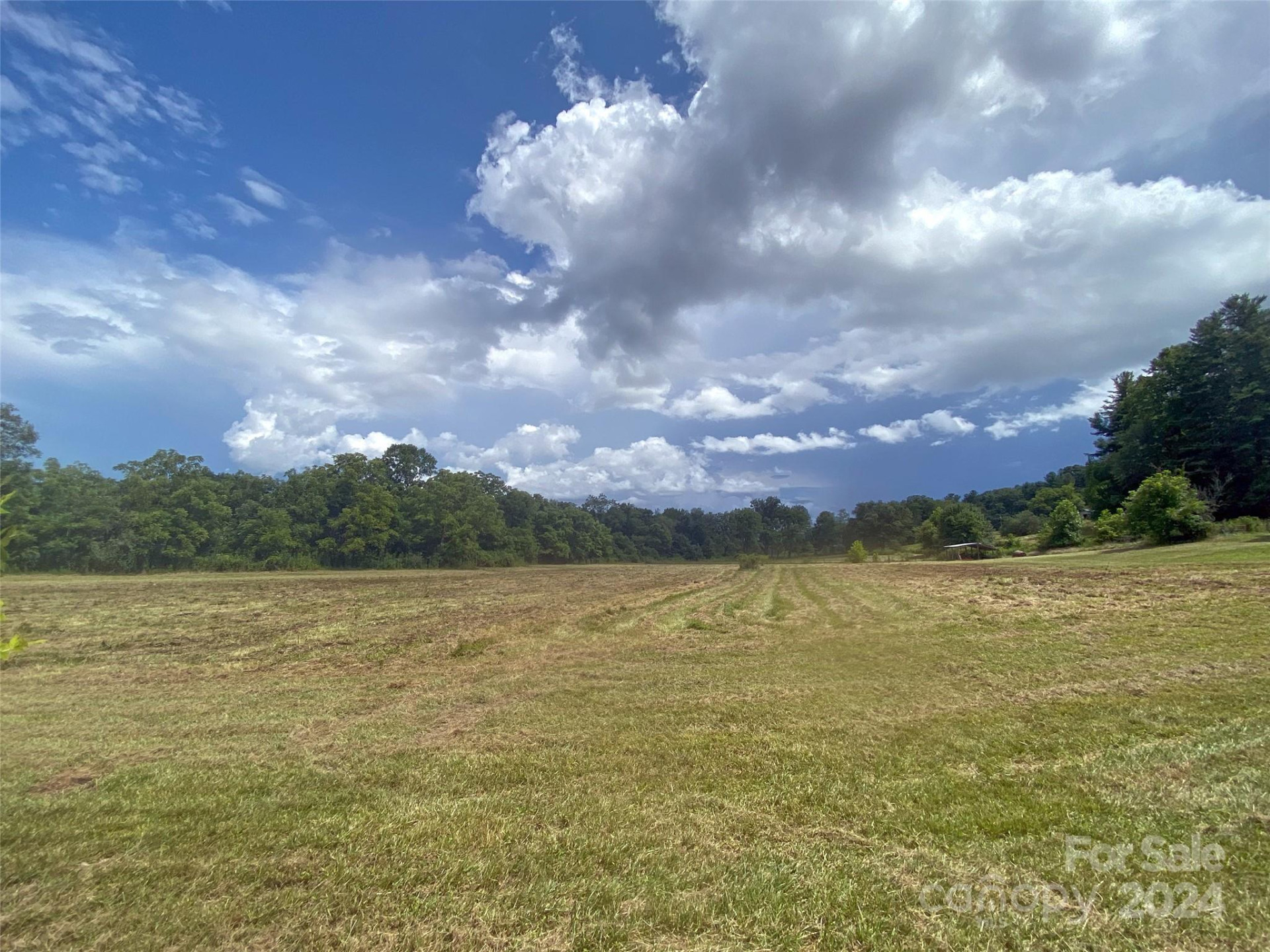 273 & 133 Nicholson Lane - Photo 7