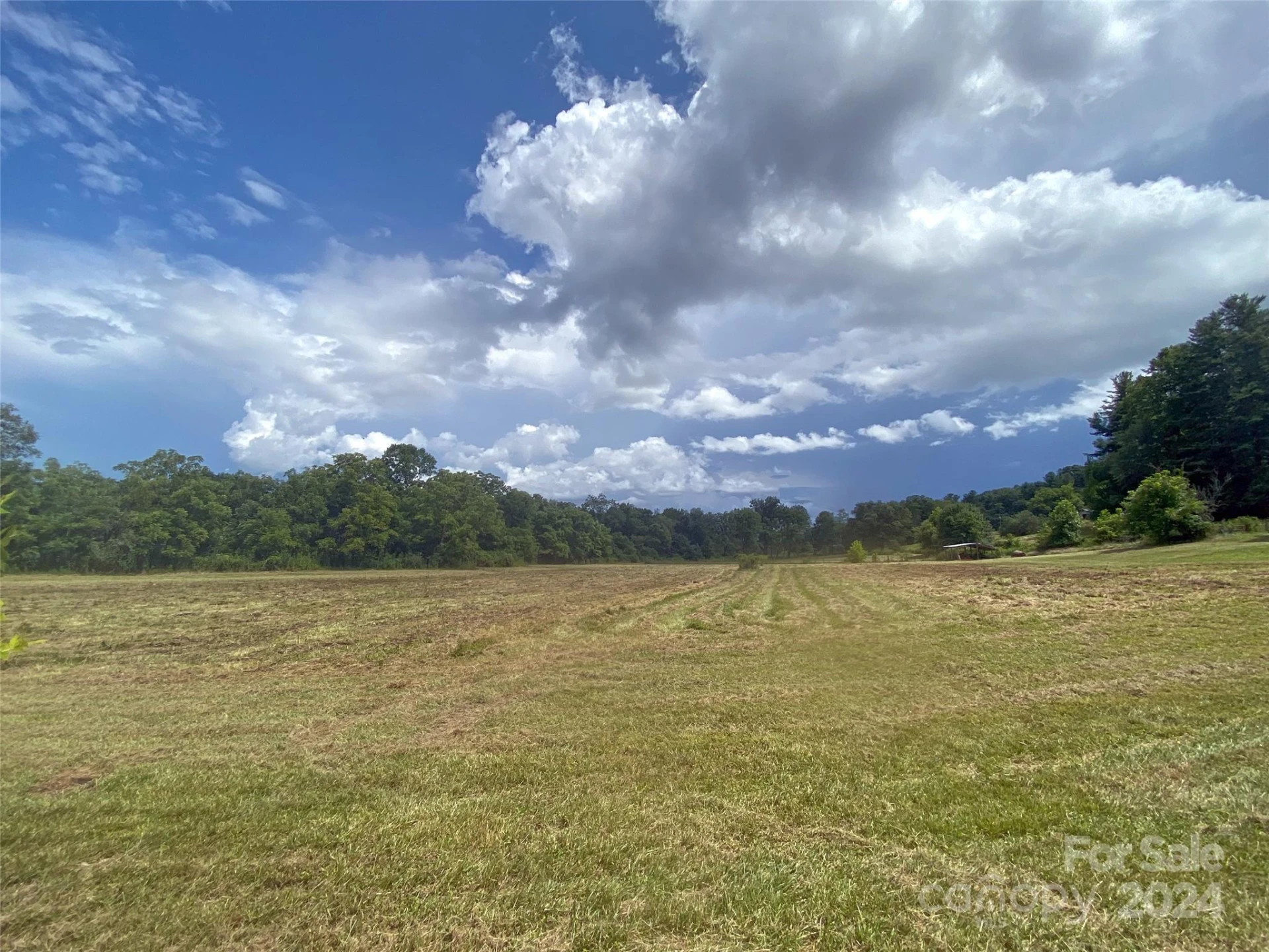 273 & 133 Nicholson Lane - Photo 7
