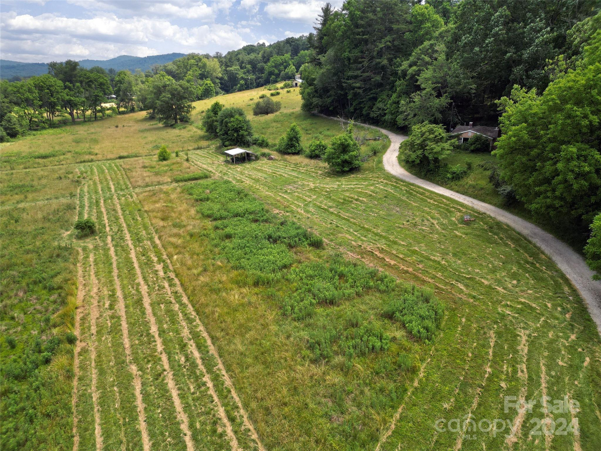 273 & 133 Nicholson Lane - Photo 8