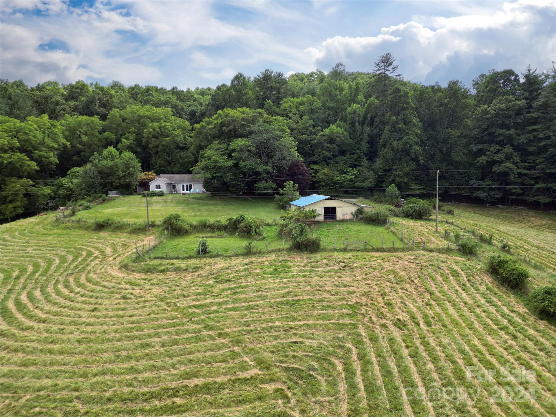 273 & 133 Nicholson Lane - Photo 9