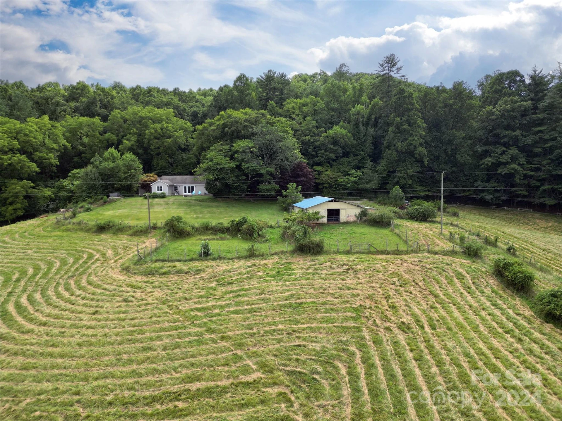 273 & 133 Nicholson Lane - Photo 9