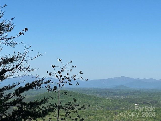 0 Arbra Mountain Way - Photo 2