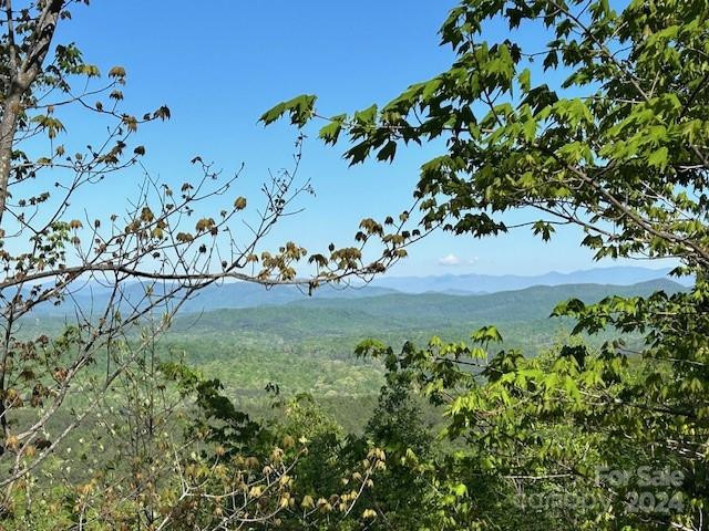 0 Arbra Mountain Way - Photo 3