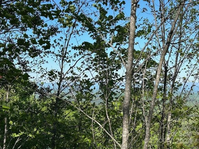 0 Arbra Mountain Way - Photo 4