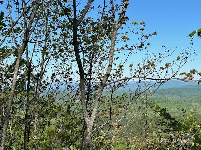 0 Arbra Mountain Way - Photo 5
